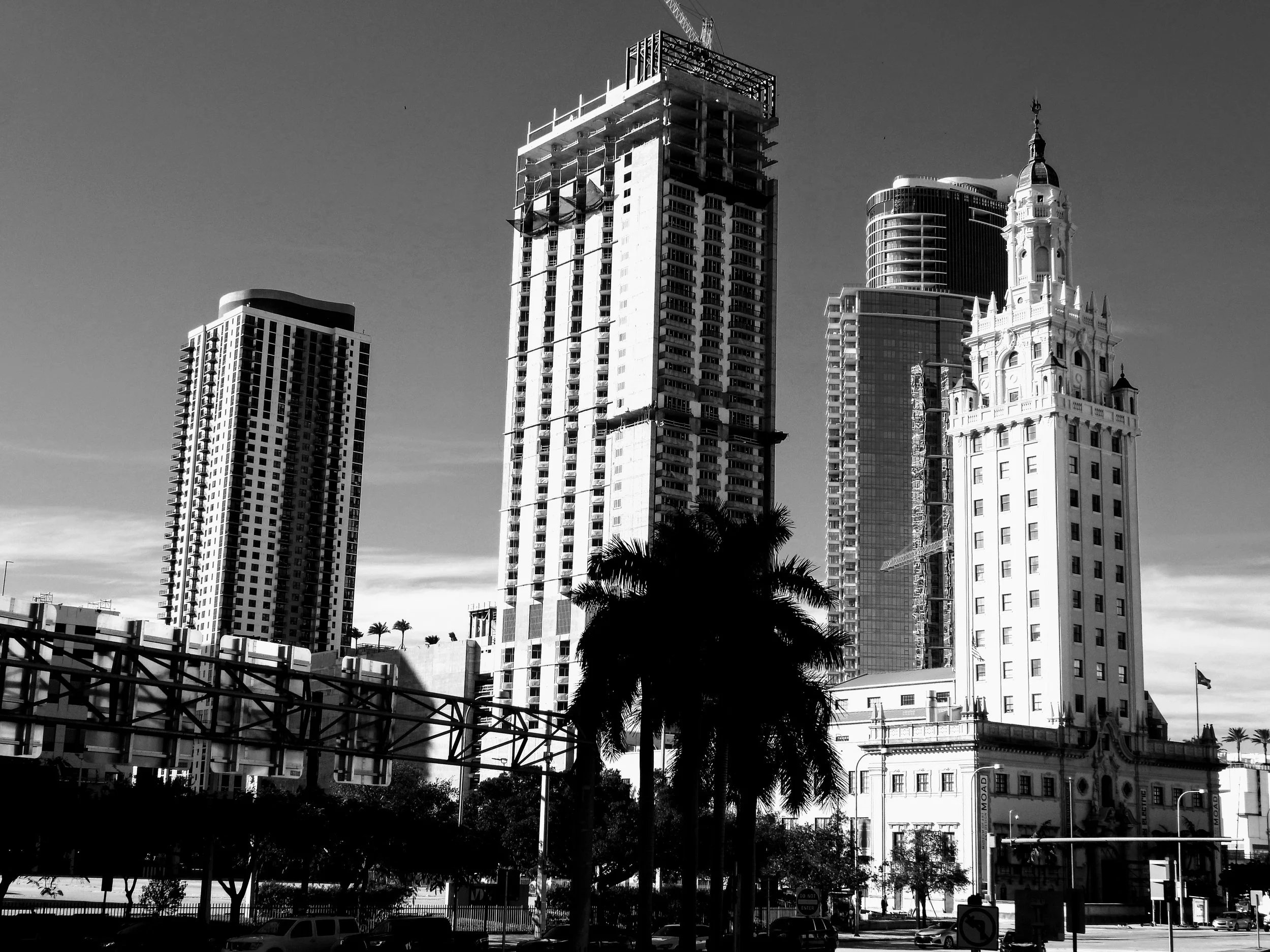 Downtown Miami Florida by MychaelX.photos 000011.JPG