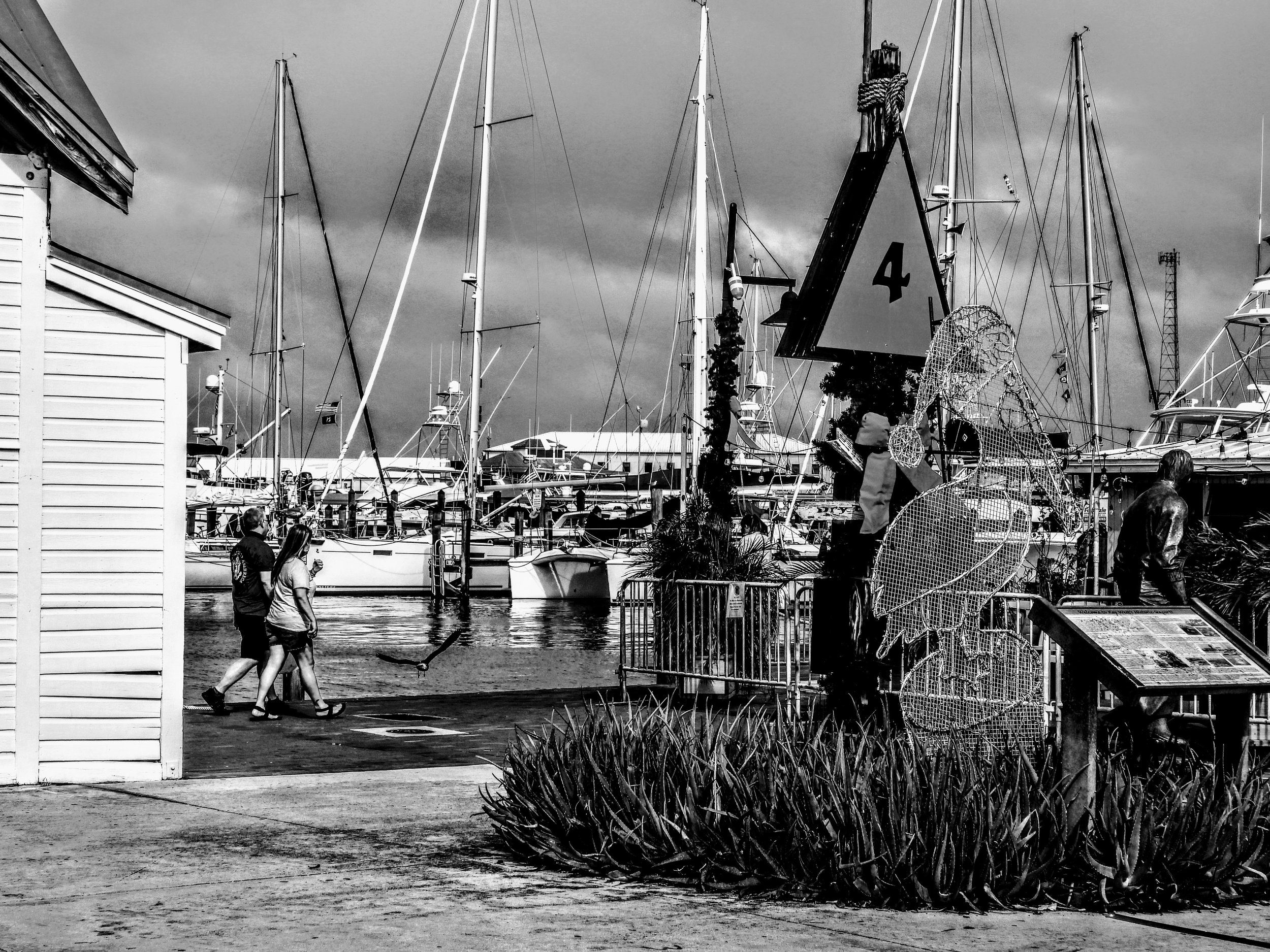 Key West Miami Florida by MychaelX.photos 000116.JPG