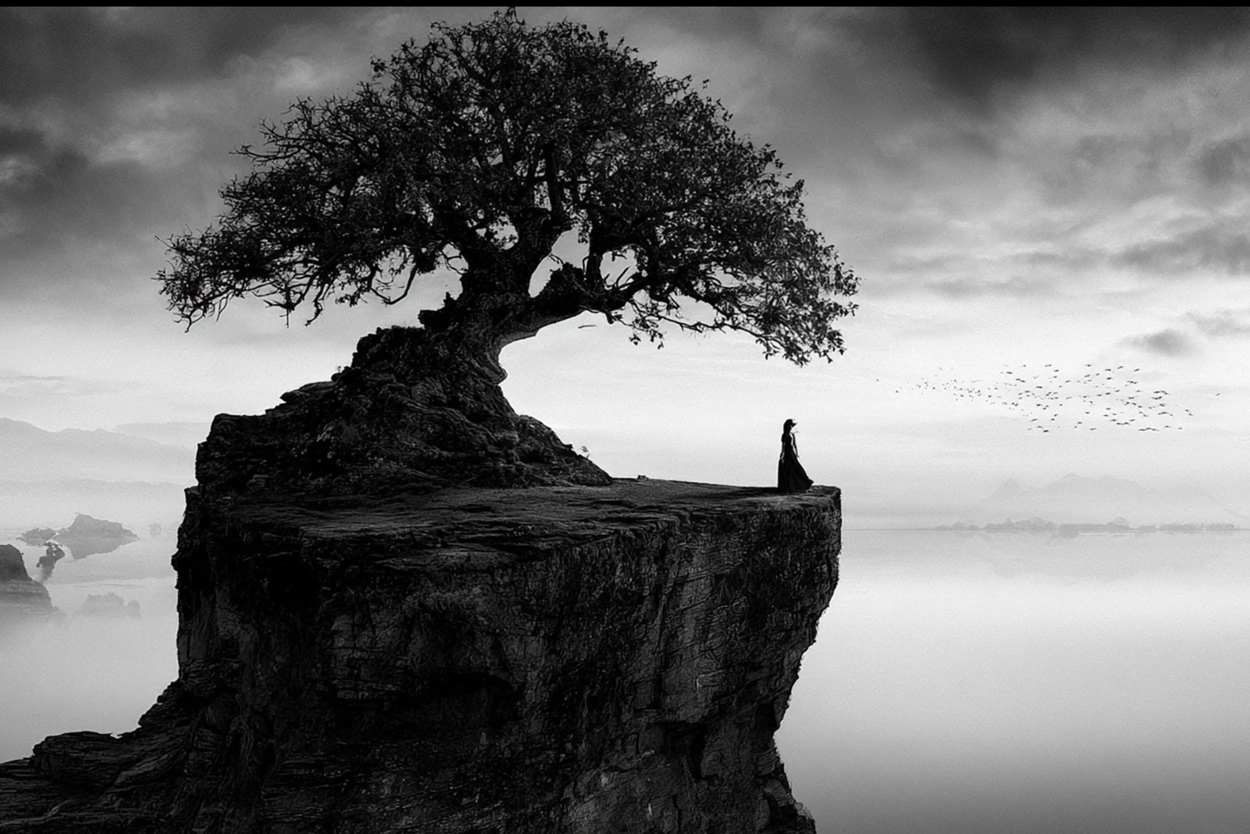 #12 BLACK & WHITE LANDSCAPE — Timeless Beauty in Every View 24W X 36H