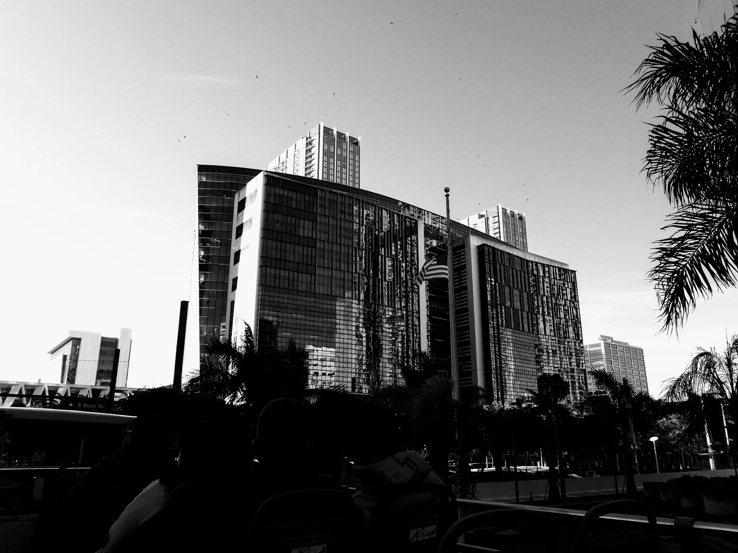 Downtown Miami Florida by MychaelX.photos 000092.JPG
