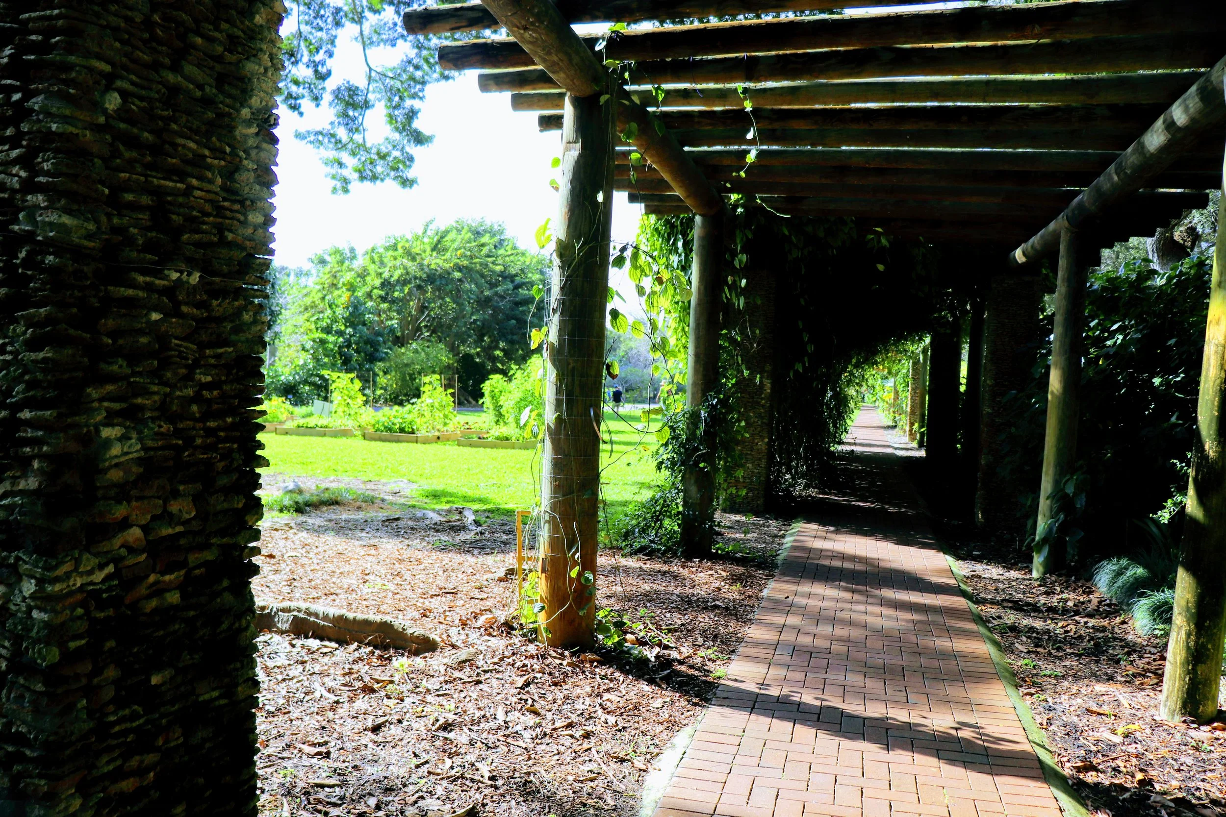 Fairchild Tropical Botanic Garden Miami Florida by MychaelX.photos 00067.JPG