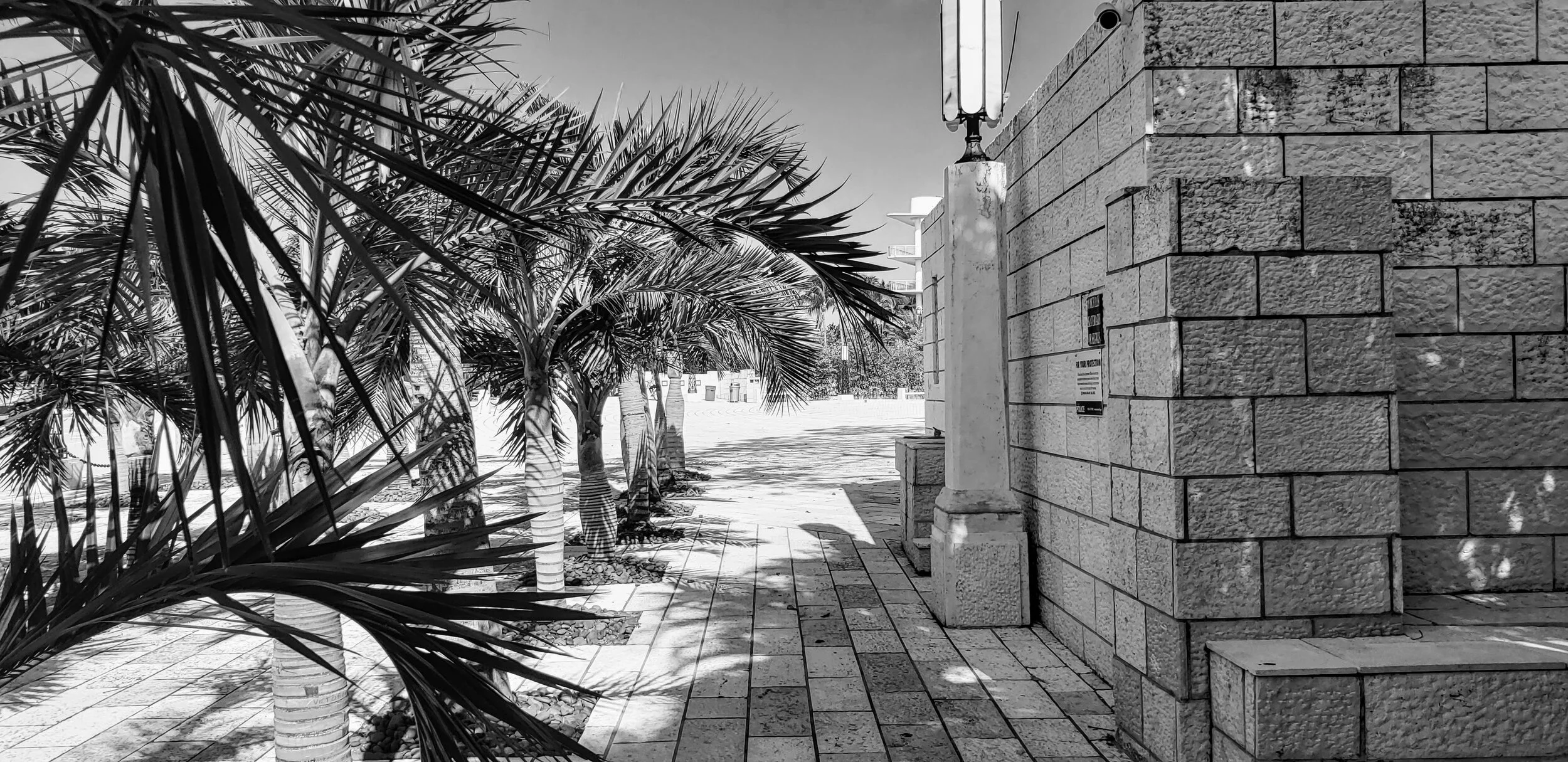 Florida Holocaust Memorial Miami Beach by www.MychaelX.photos 000139bw.jpg