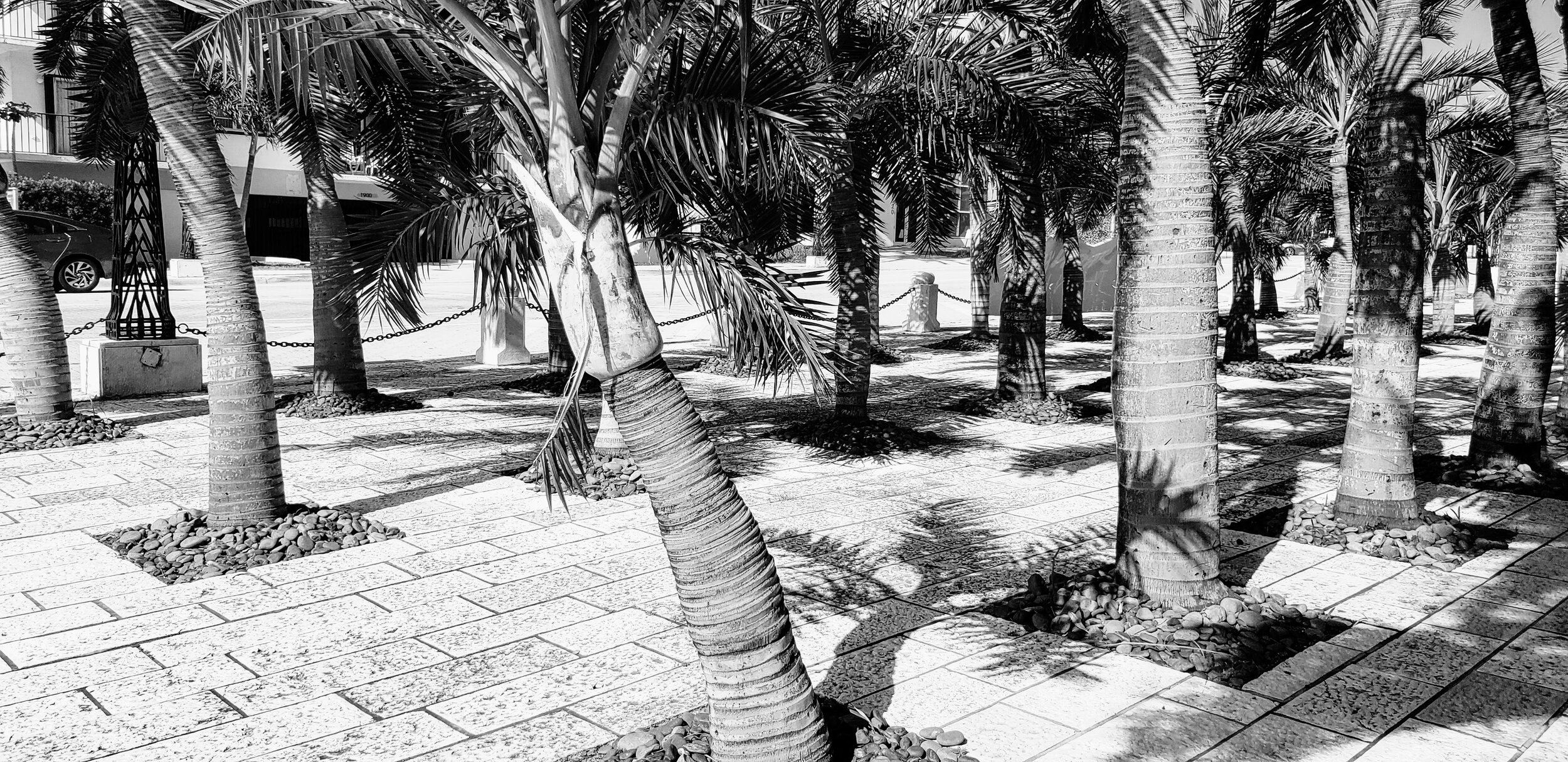 Florida Holocaust Memorial Miami Beach by www.MychaelX.photos 000141bw.jpg