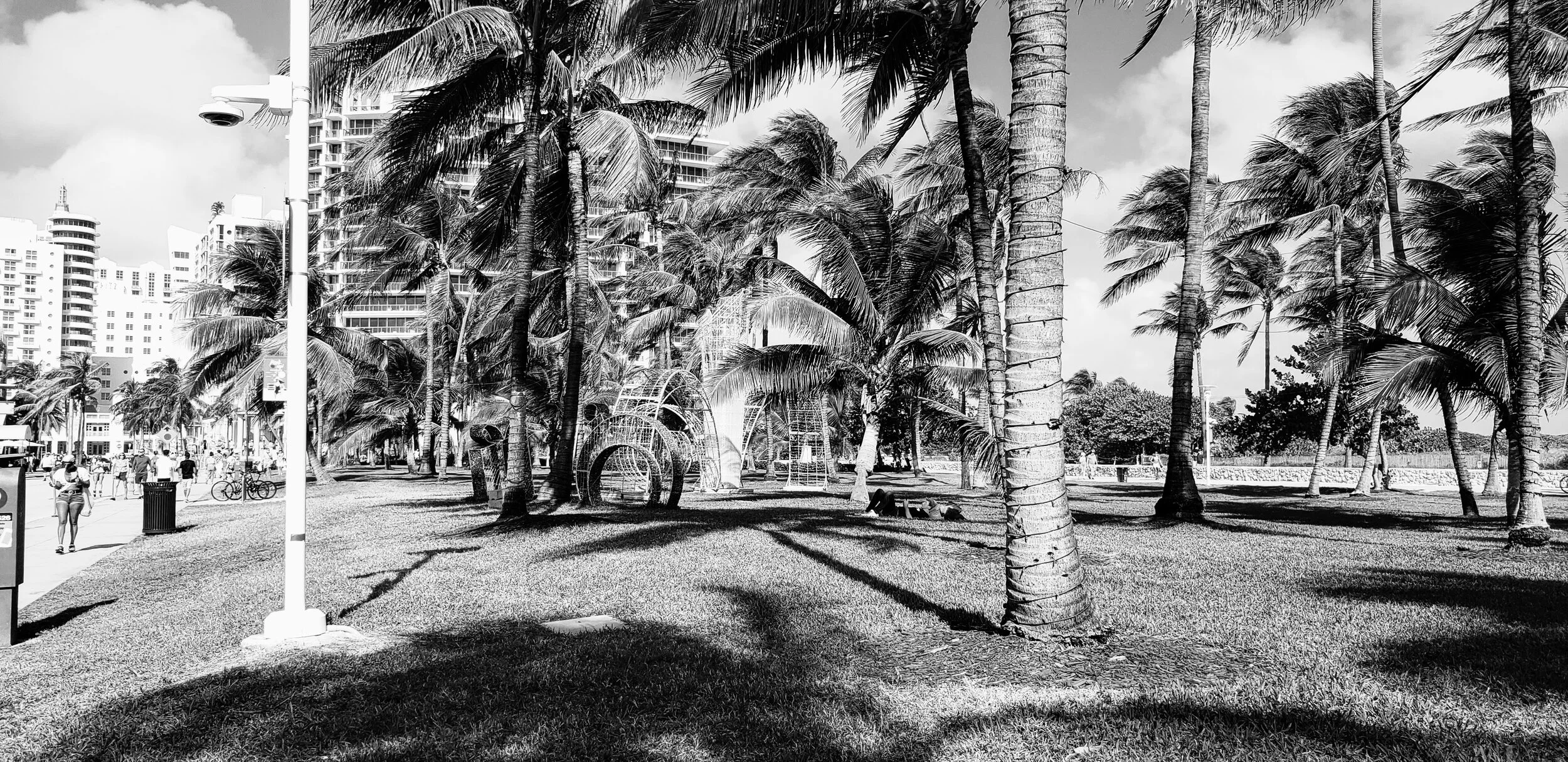 Miam Florida South Beach by www.MychaelX,photos 0000127bw.jpg