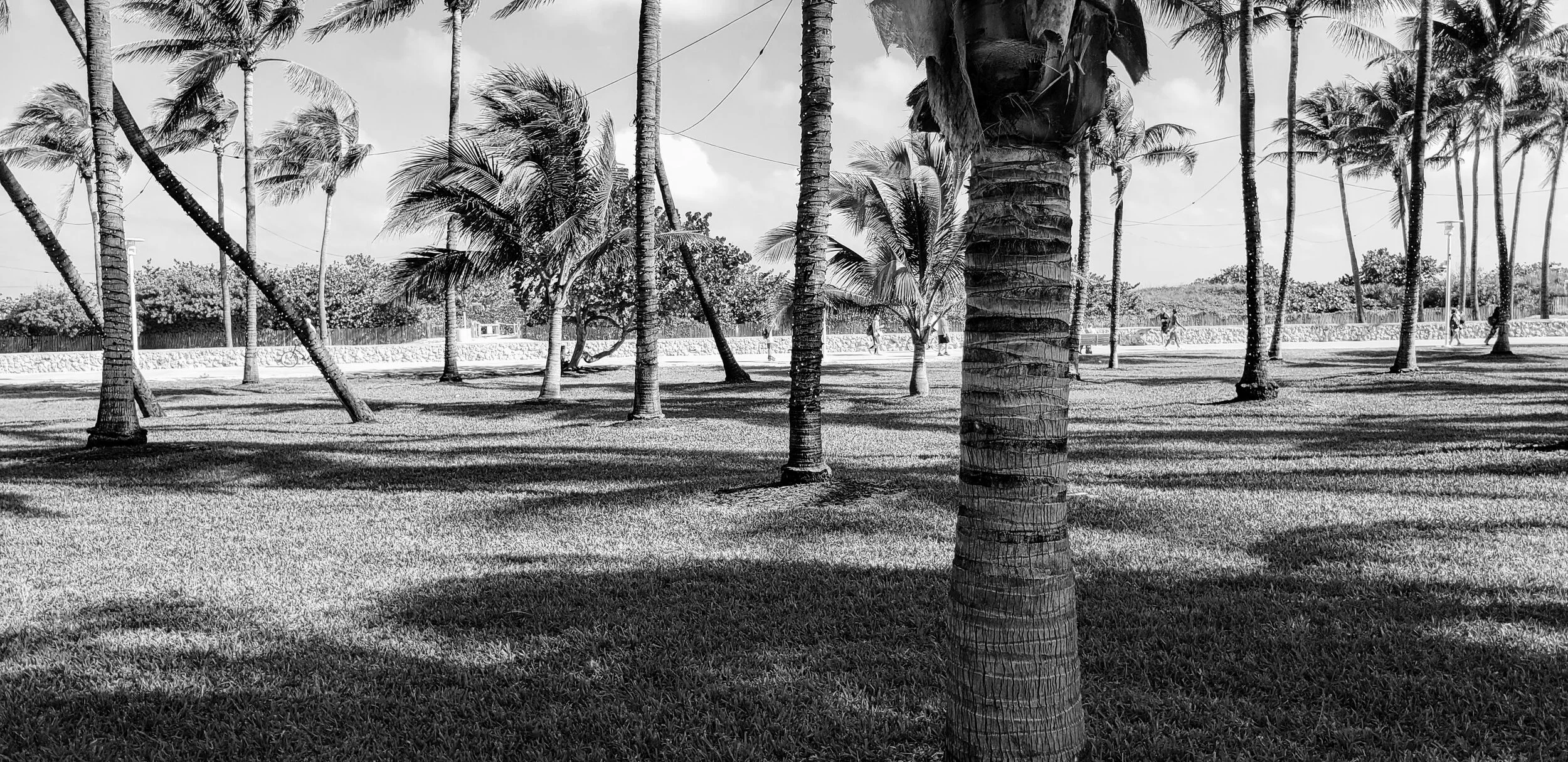 Miam Florida South Beach by www.MychaelX,photos 0000125bw.jpg