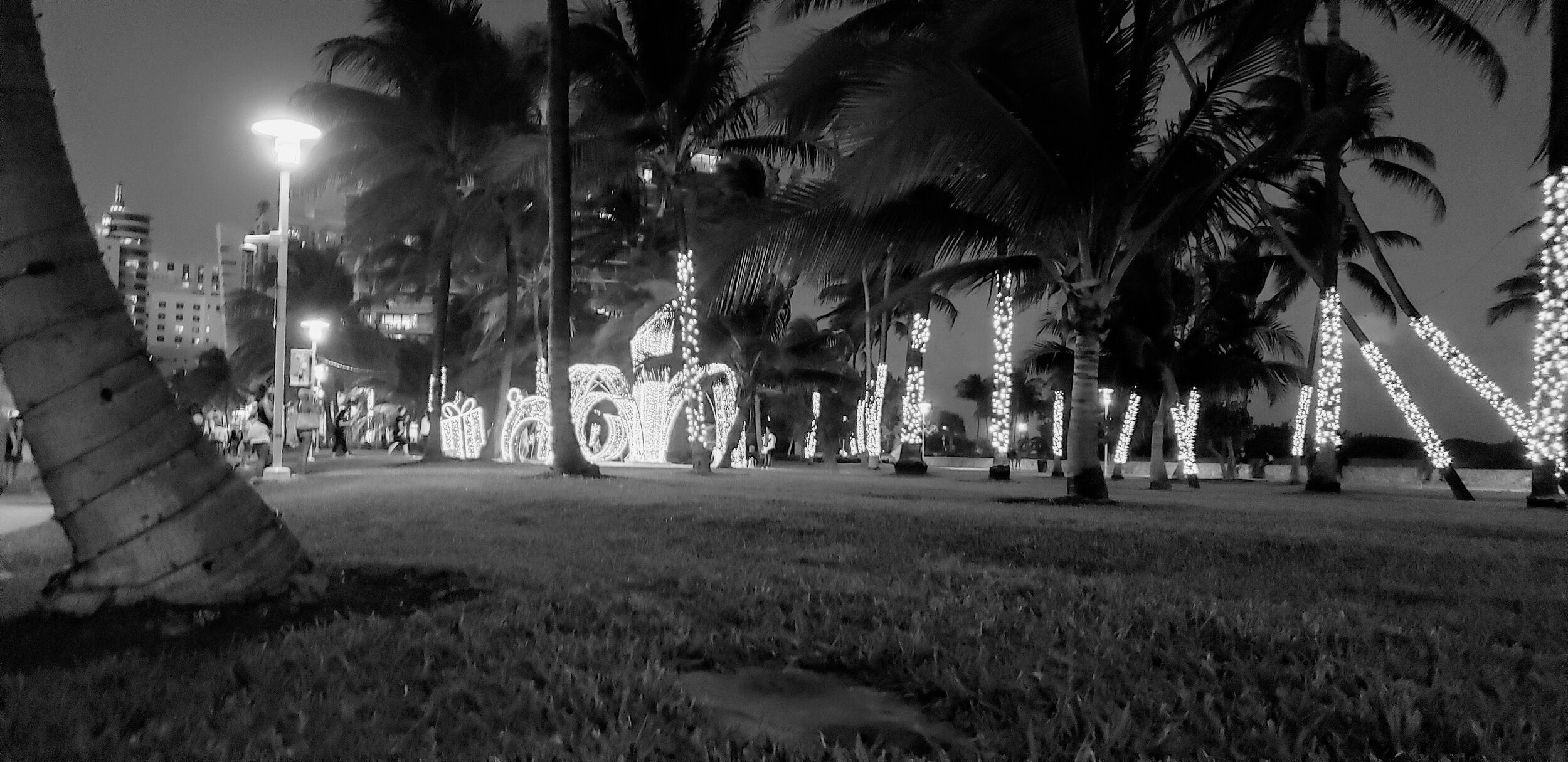 Miam Florida South Beach by www.MychaelX,photos 00003bw.jpg