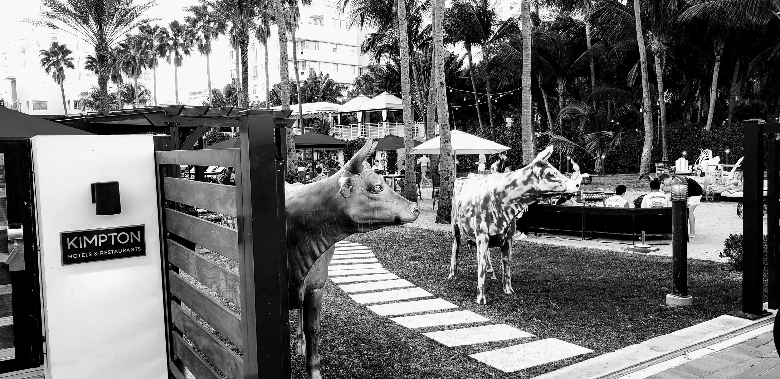 Miam Florida South Beach by www.MychaelX,photos 00006bw.jpg