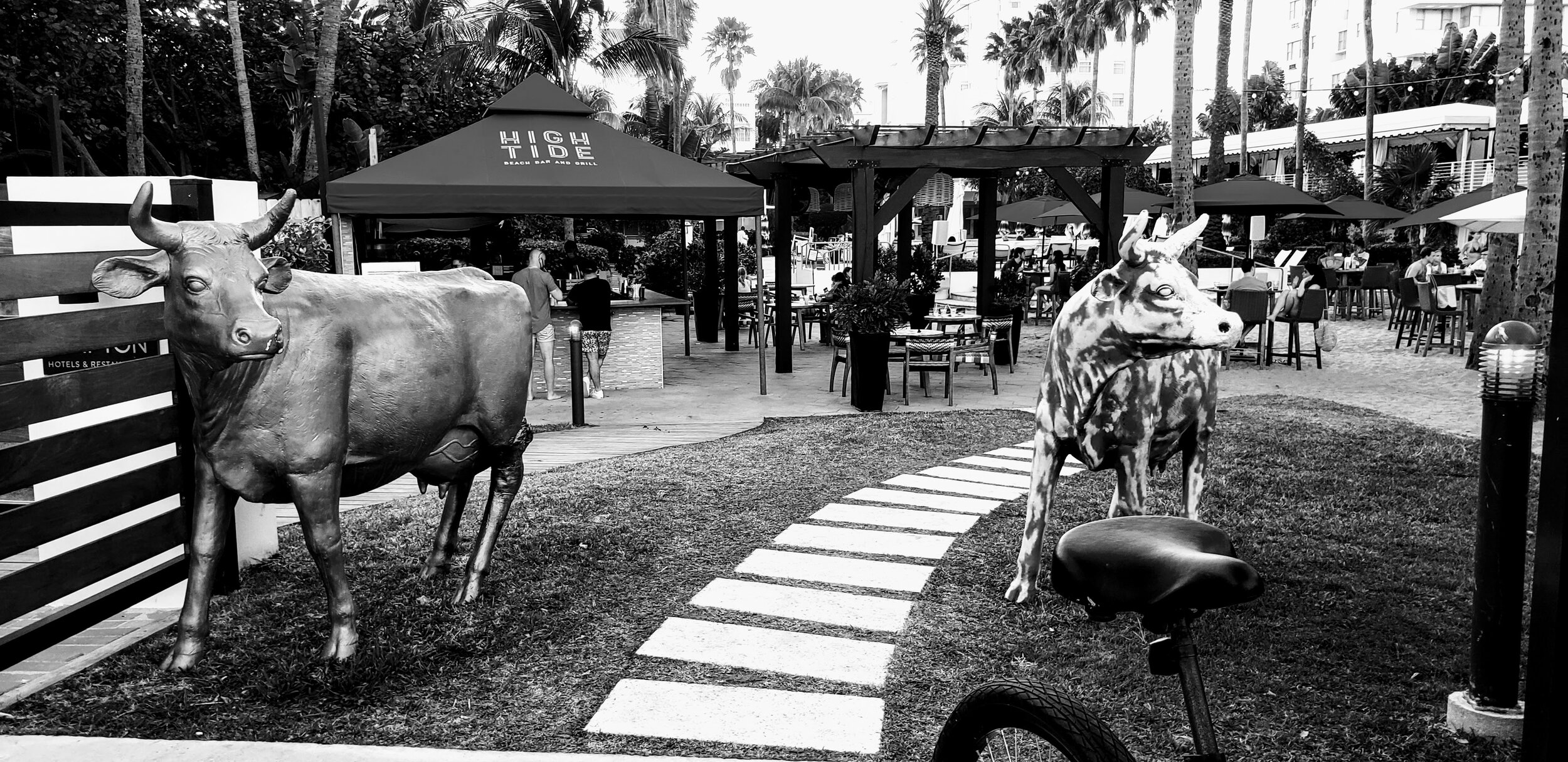 Miam Florida South Beach by www.MychaelX,photos 00007bw.jpg