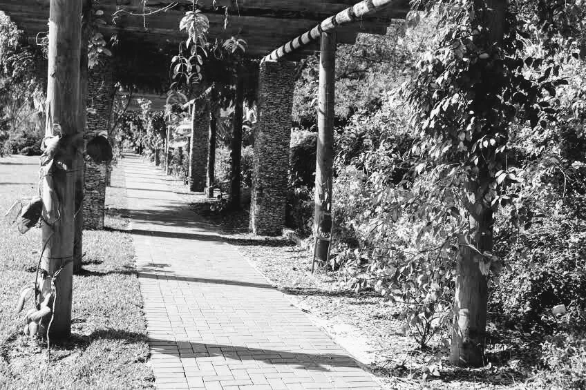 Fairchild Tropical Botanic Garden Miami Florida by Mychael X.photos 00001bw.JPG