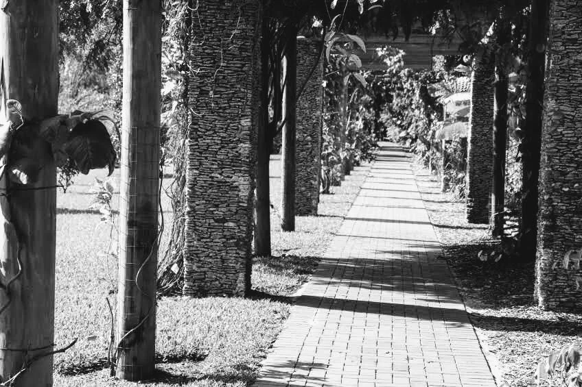 Fairchild Tropical Botanic Garden Miami Florida by Mychael X.photos 00003bw.JPG