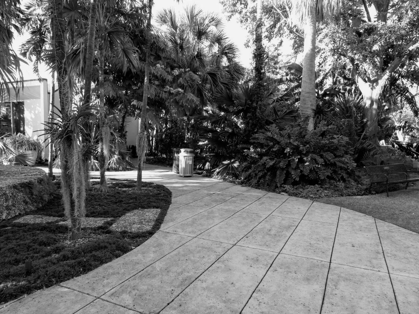 Miami Beach Botanical Garden Florida by Mychael X.photos 0012bw.JPG