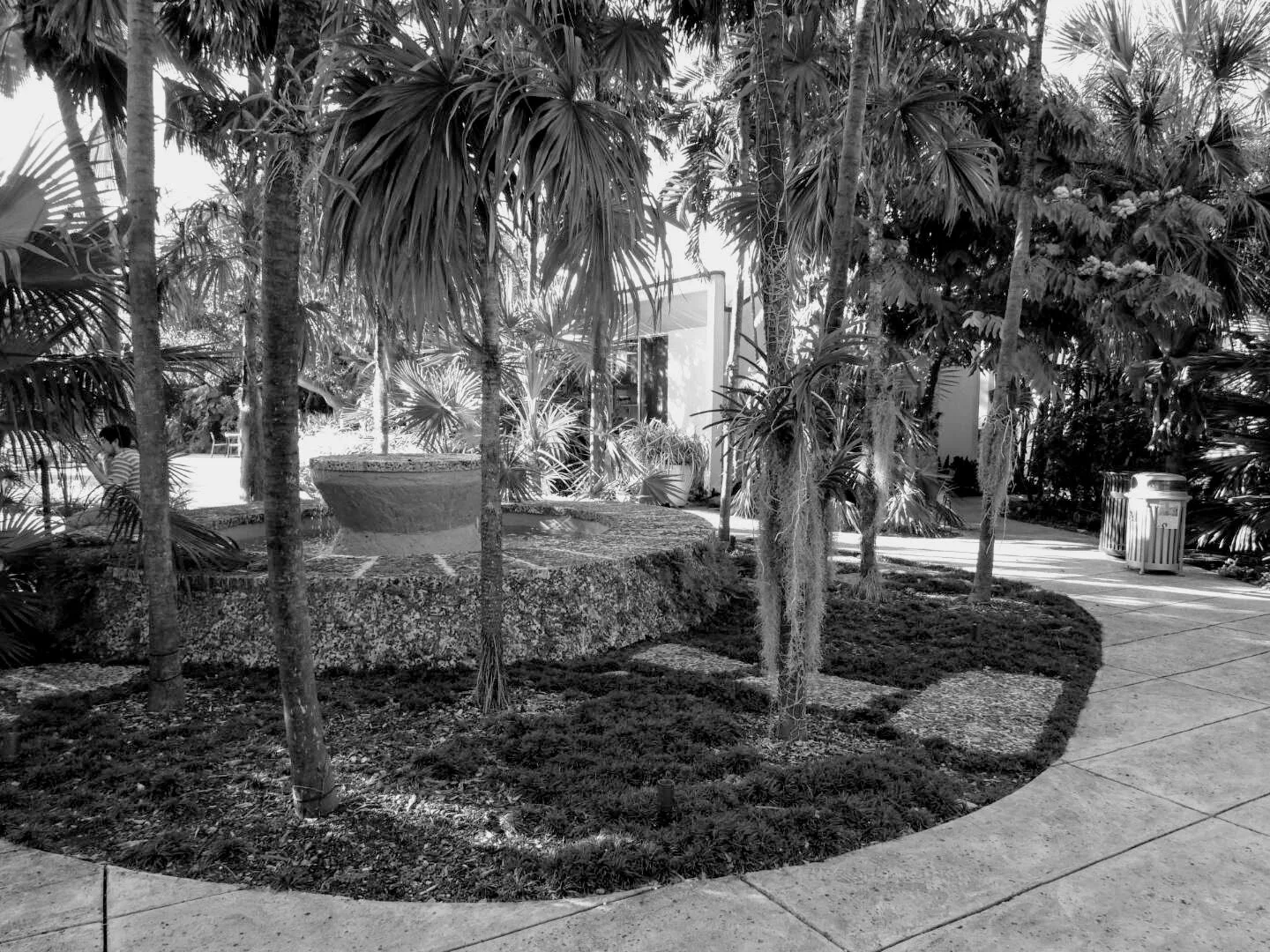 Miami Beach Botanical Garden Florida by Mychael X.photos 0013bw.JPG