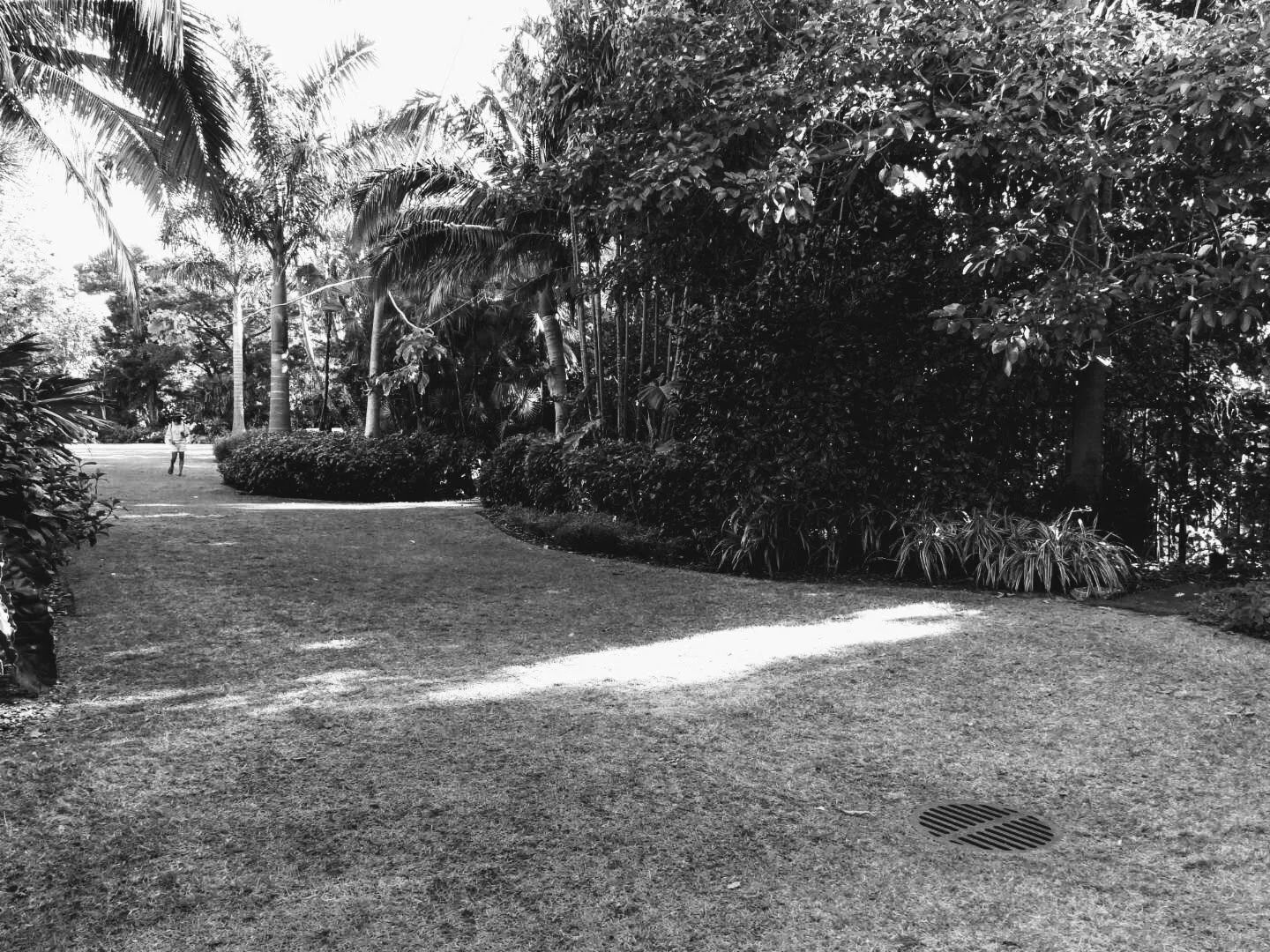 Miami Beach Botanical Garden Florida by Mychael X.photos 0020bw.JPG