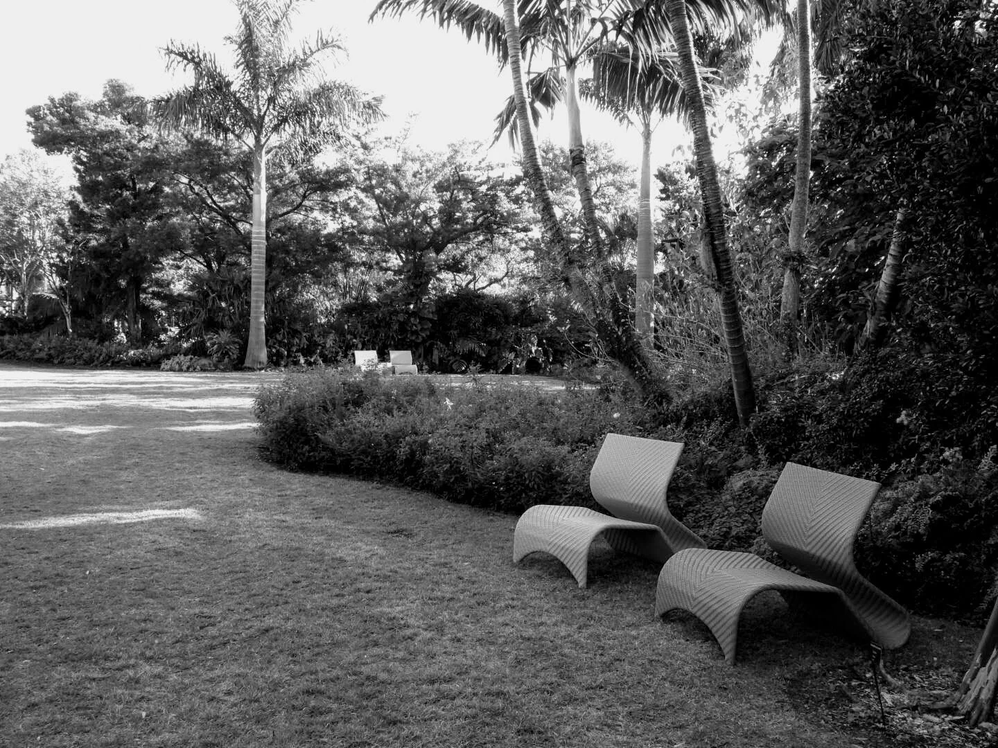 Miami Beach Botanical Garden Florida by Mychael X.photos 0023bw.JPG