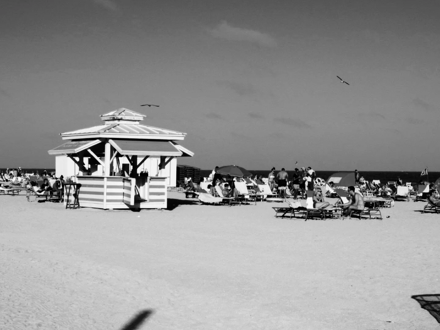 Miam Florida South Beach by www.MychaelX,photos 000059bw.JPG
