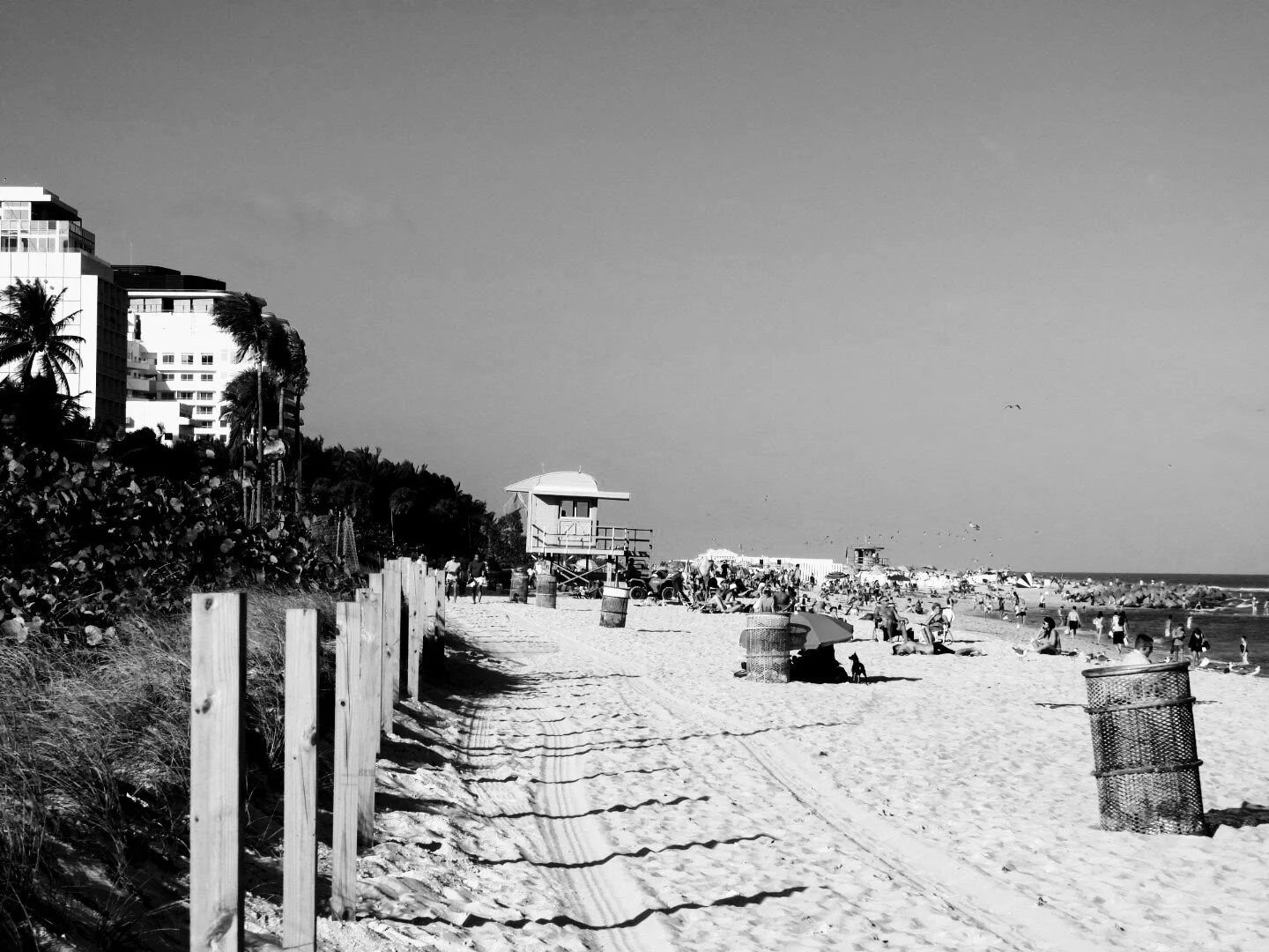 Miam Florida South Beach by www.MychaelX,photos 000072bw.JPG