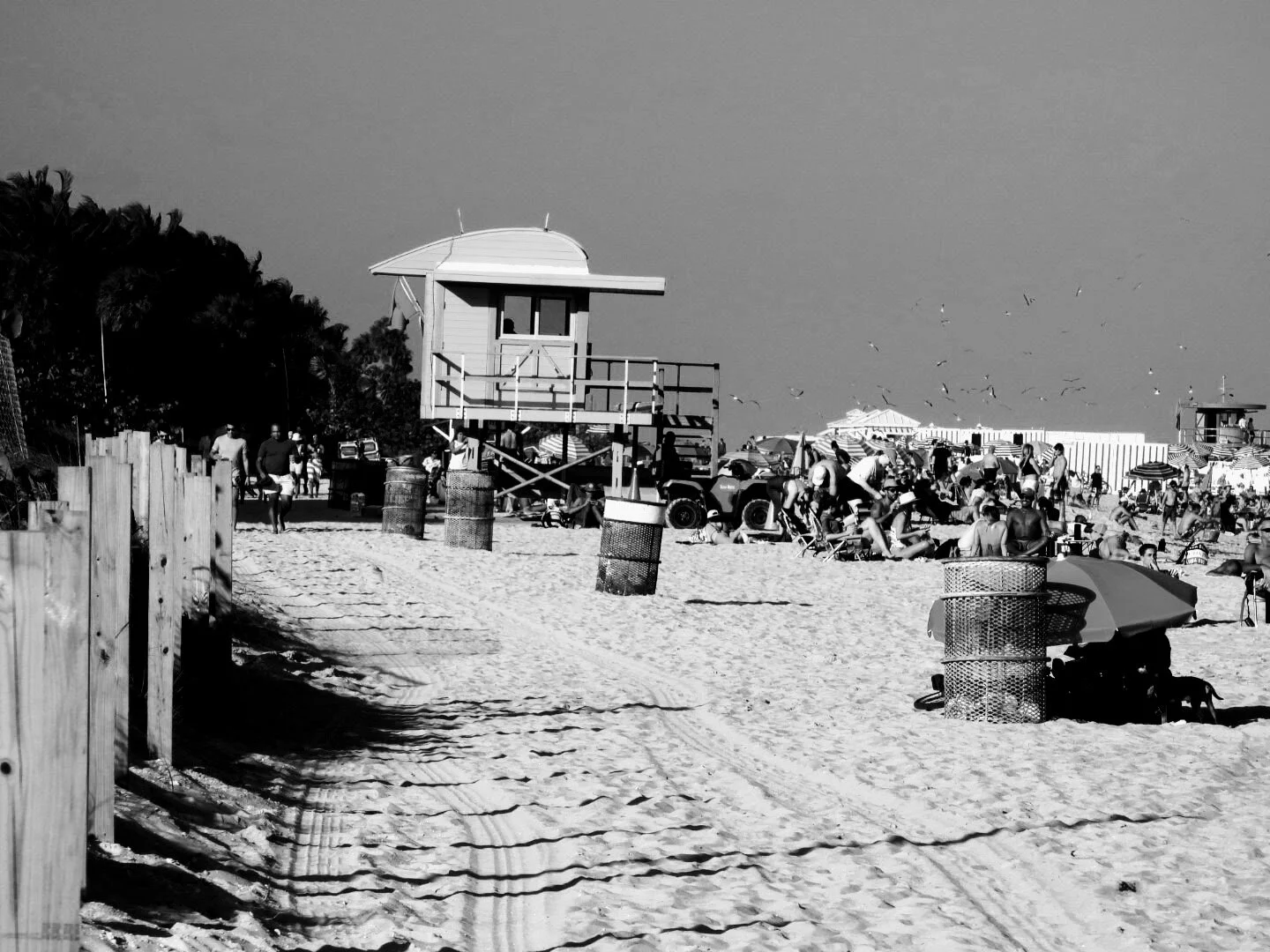 Miam Florida South Beach by www.MychaelX,photos 000073bw.JPG
