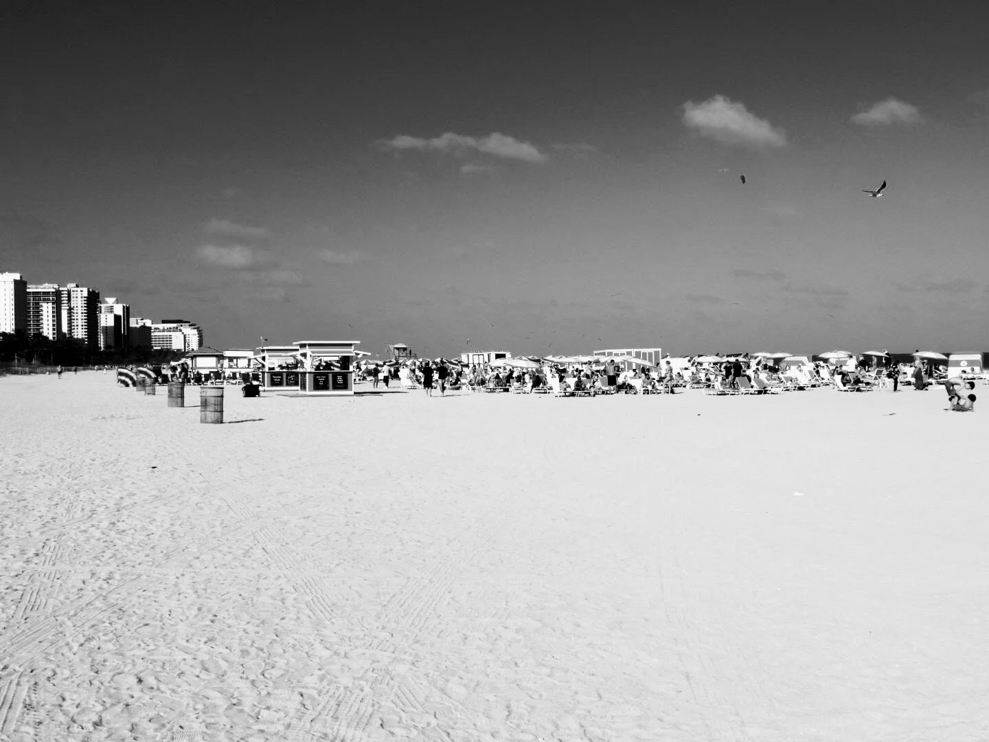 Miam Florida South Beach by www.MychaelX,photos 000096bw.JPG