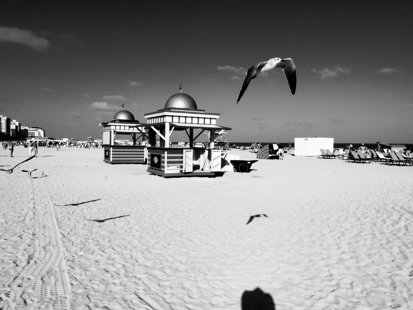 Miam Florida South Beach by www.MychaelX,photos 0000101bw.JPG