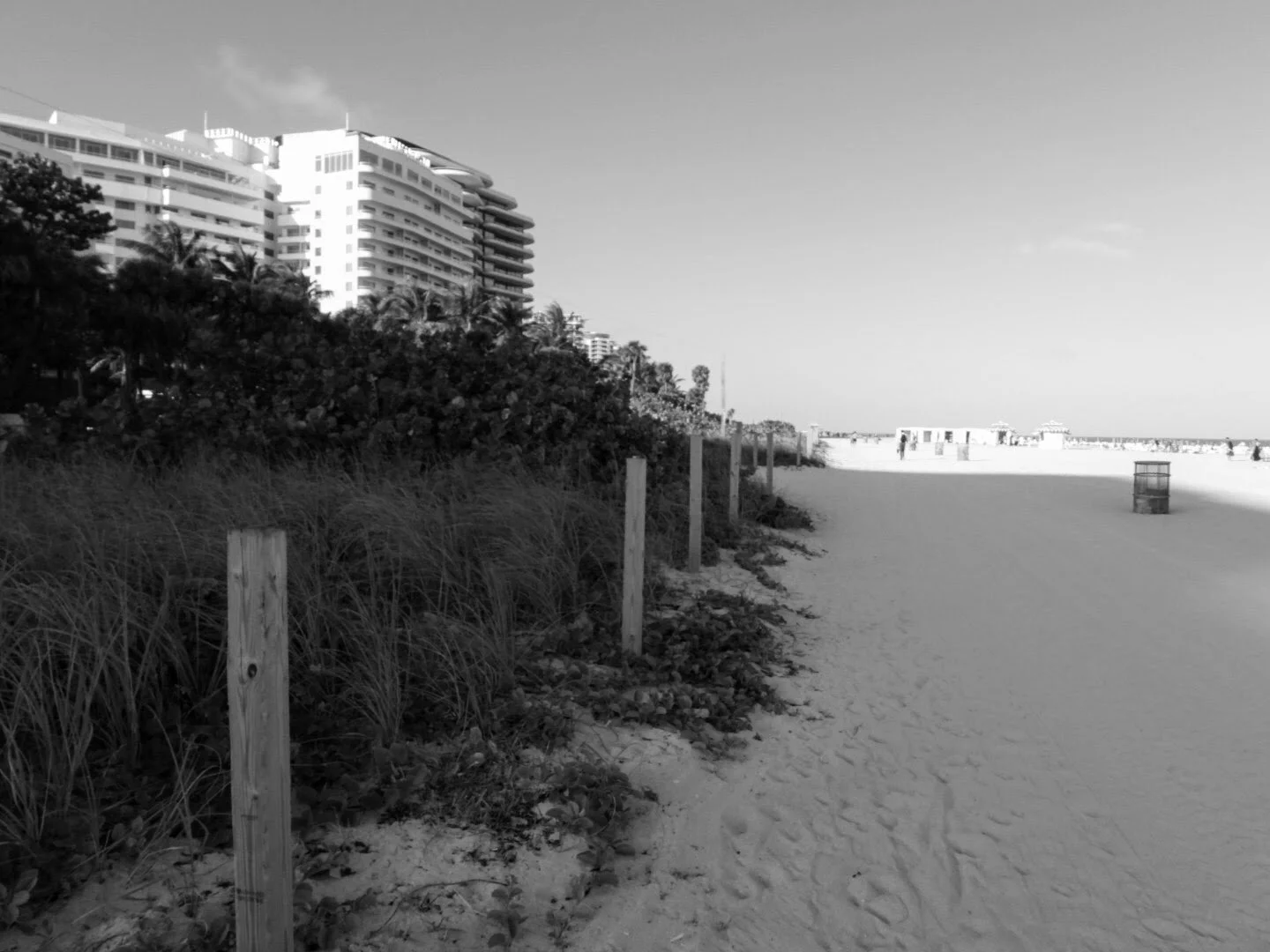 Miam Florida South Beach by www.MychaelX,photos 000058bw.JPG