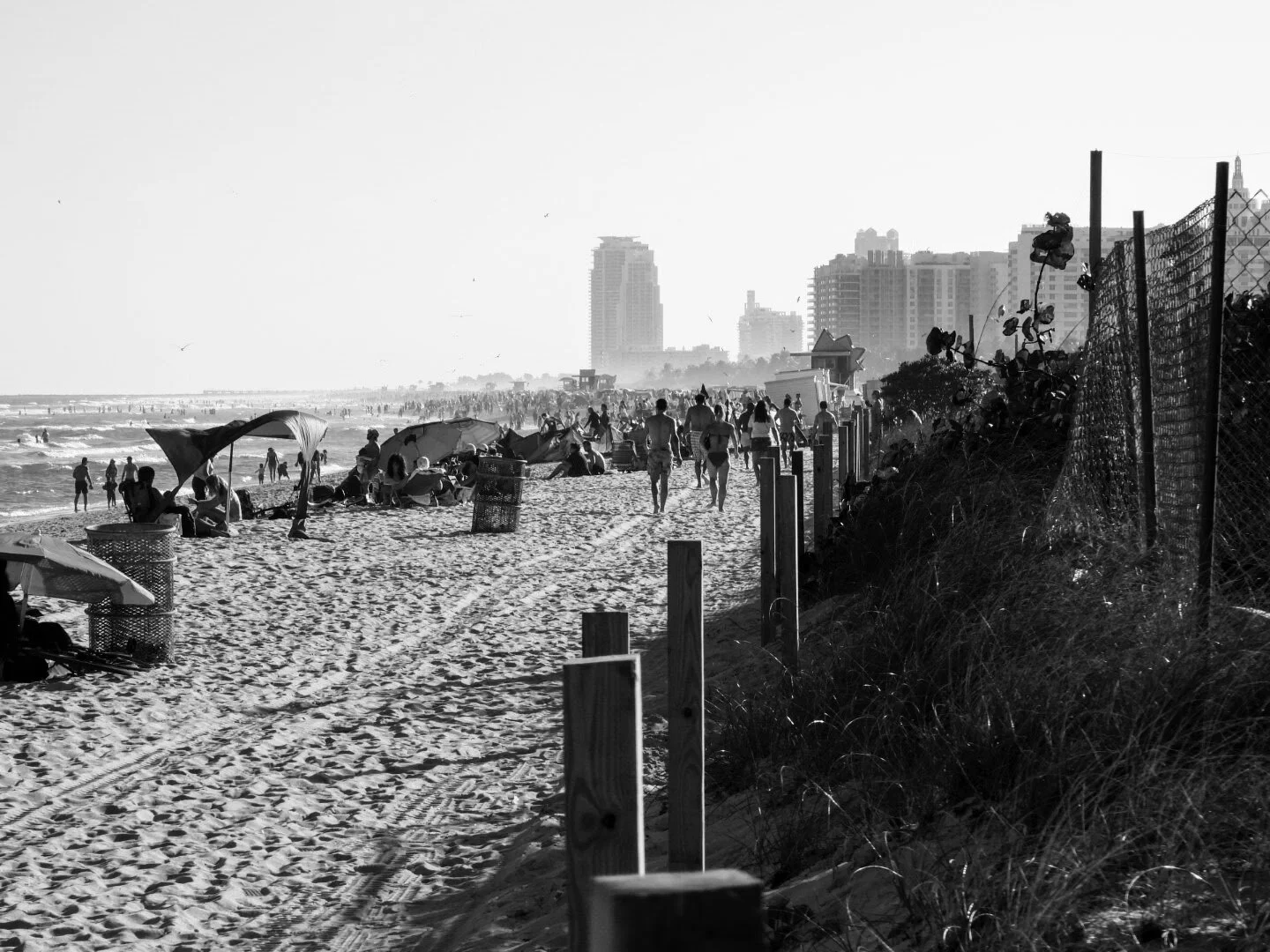 Miam Florida South Beach by www.MychaelX,photos 000069bw.JPG