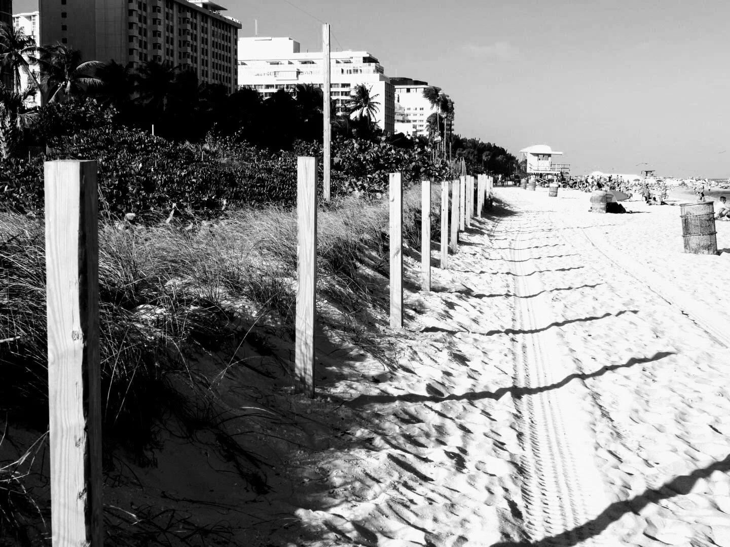 Miam Florida South Beach by www.MychaelX,photos 000076bw.JPG