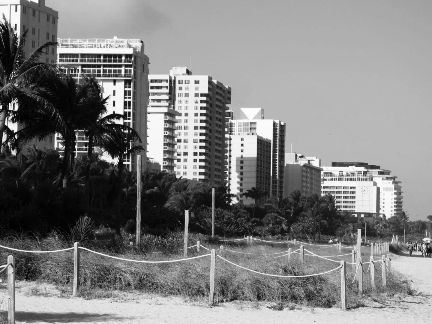 Miam Florida South Beach by www.MychaelX,photos 000084bw.JPG
