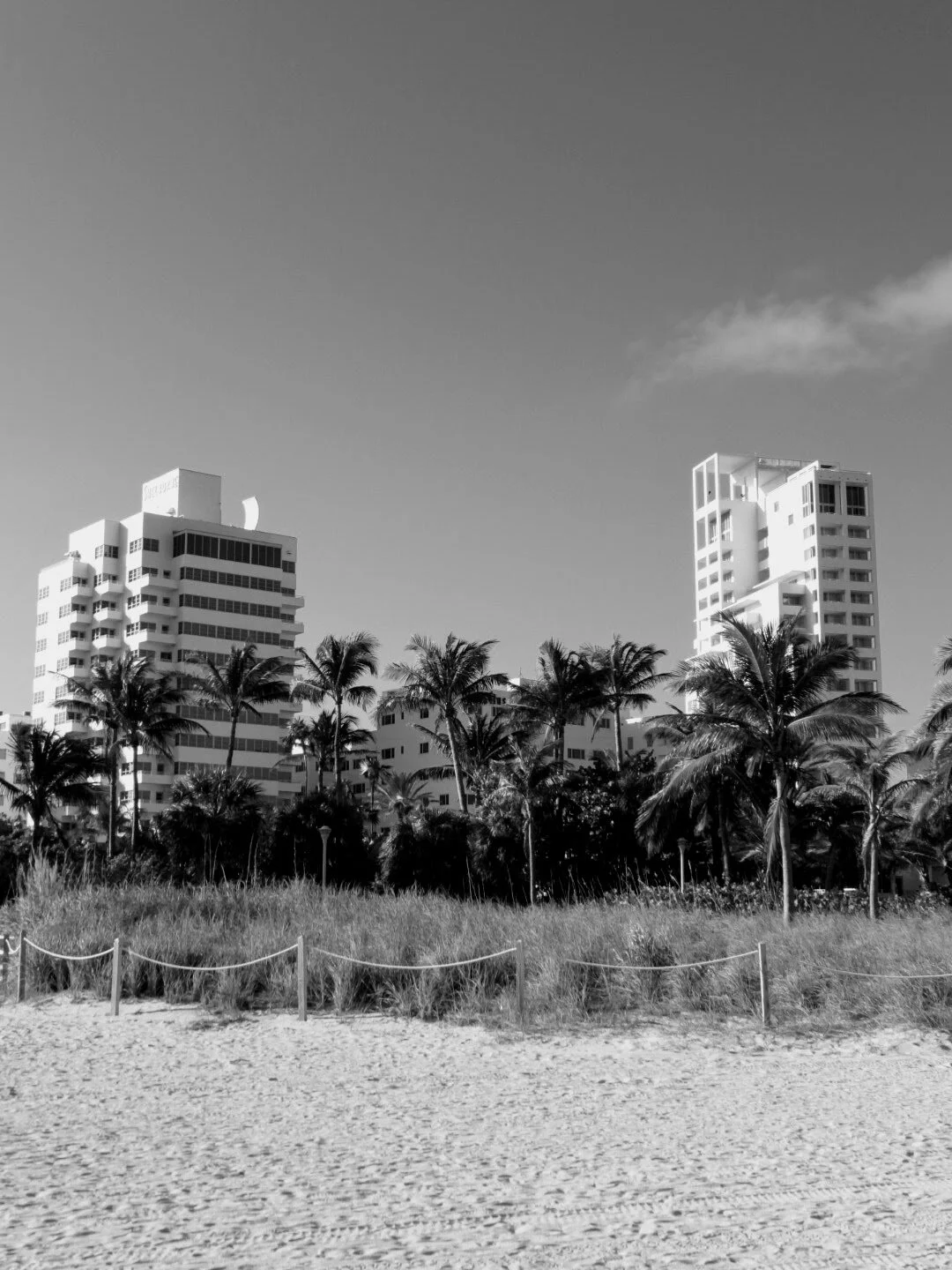 Miam Florida South Beach by www.MychaelX,photos 000090bw.JPG