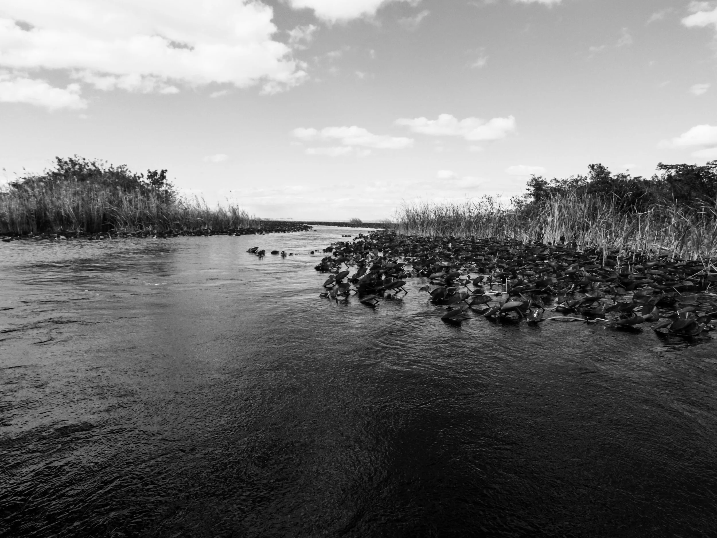 Everglades Safari Park Miami Florida 0010.JPG
