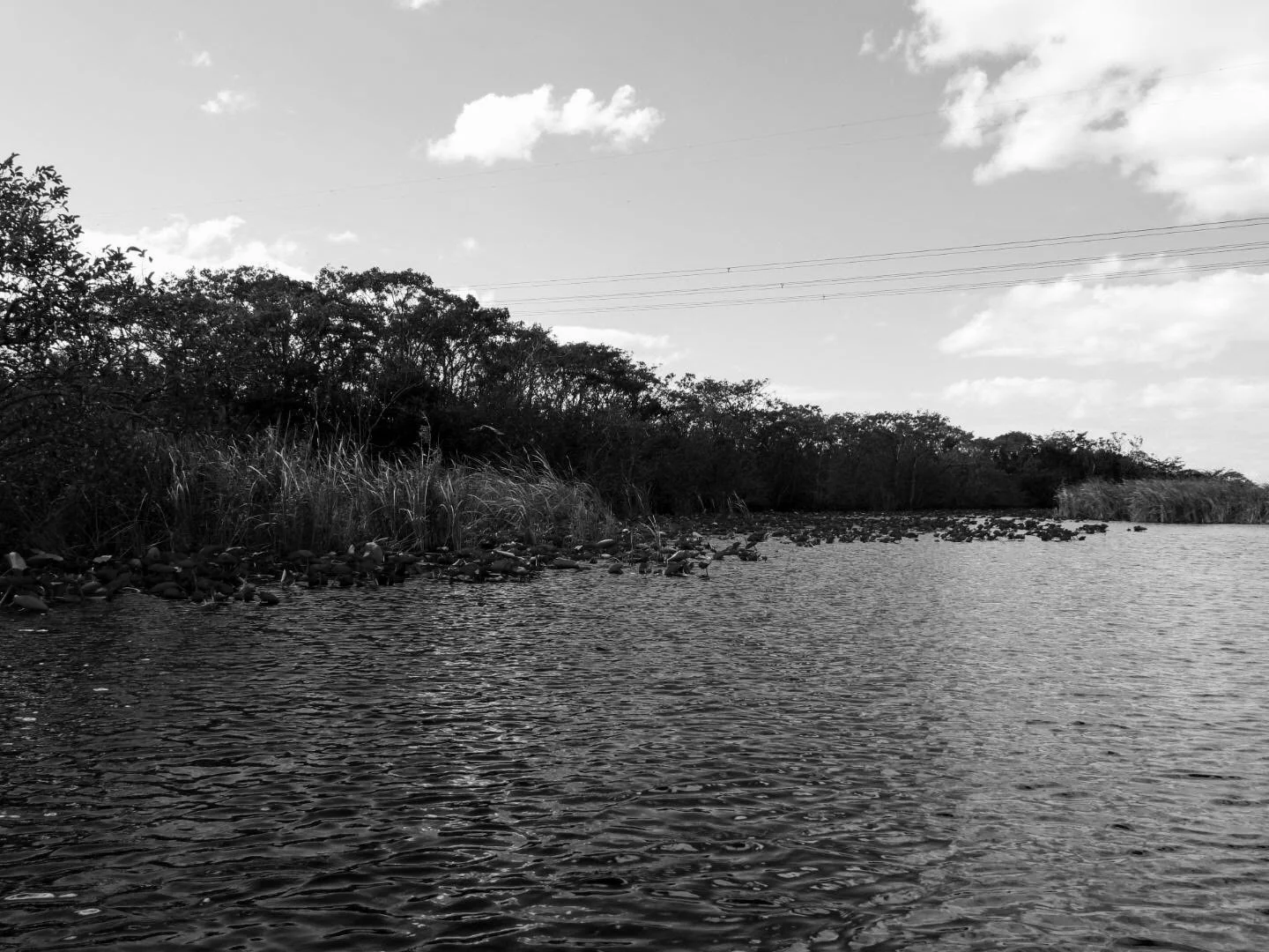 Everglades Safari Park Miami Florida 0019.JPG