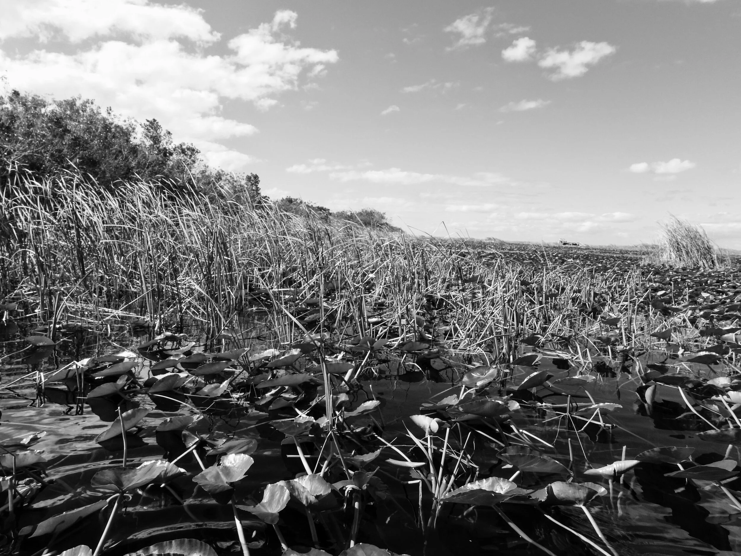 Everglades Safari Park Miami Florida 0016.JPG