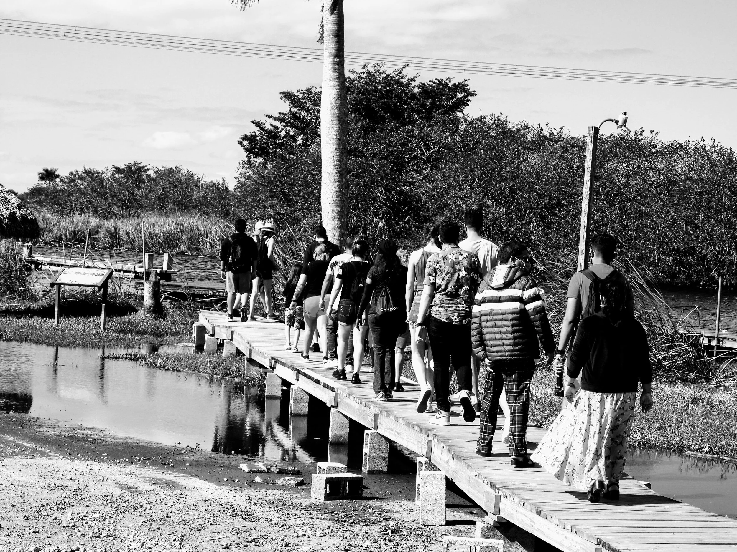 Everglades Safari Park Miami Florida 00123.JPG