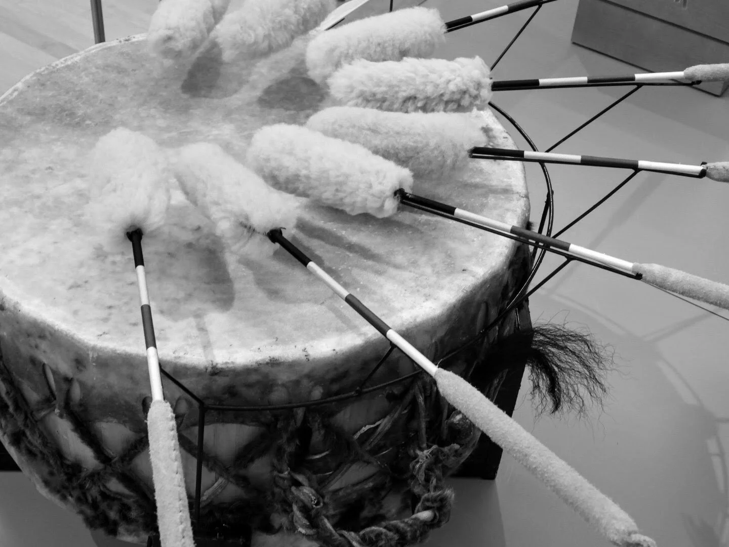 Musical Instrument Museum Phoenix Arizona by MychaerlX.photos 0000119.JPG