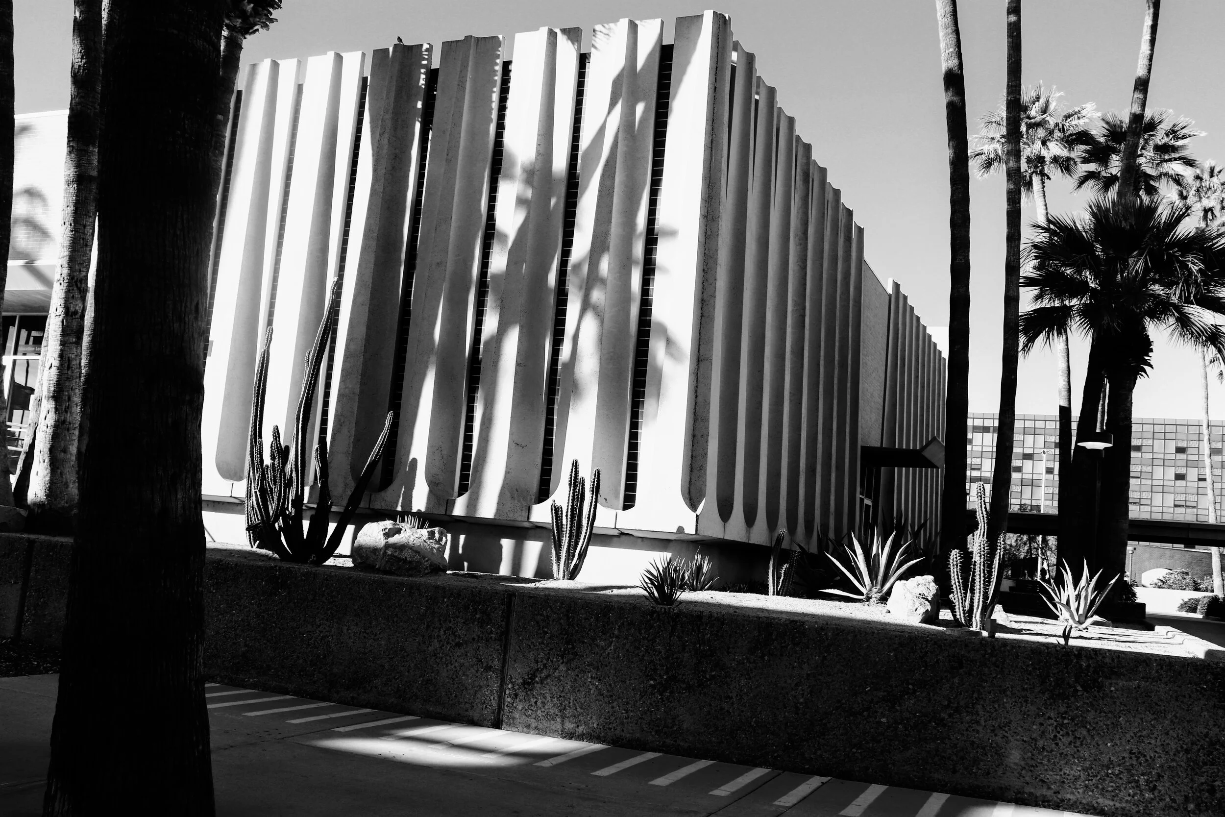 ASU Phoenix Arizona by MychaelX.photos 000018.JPG