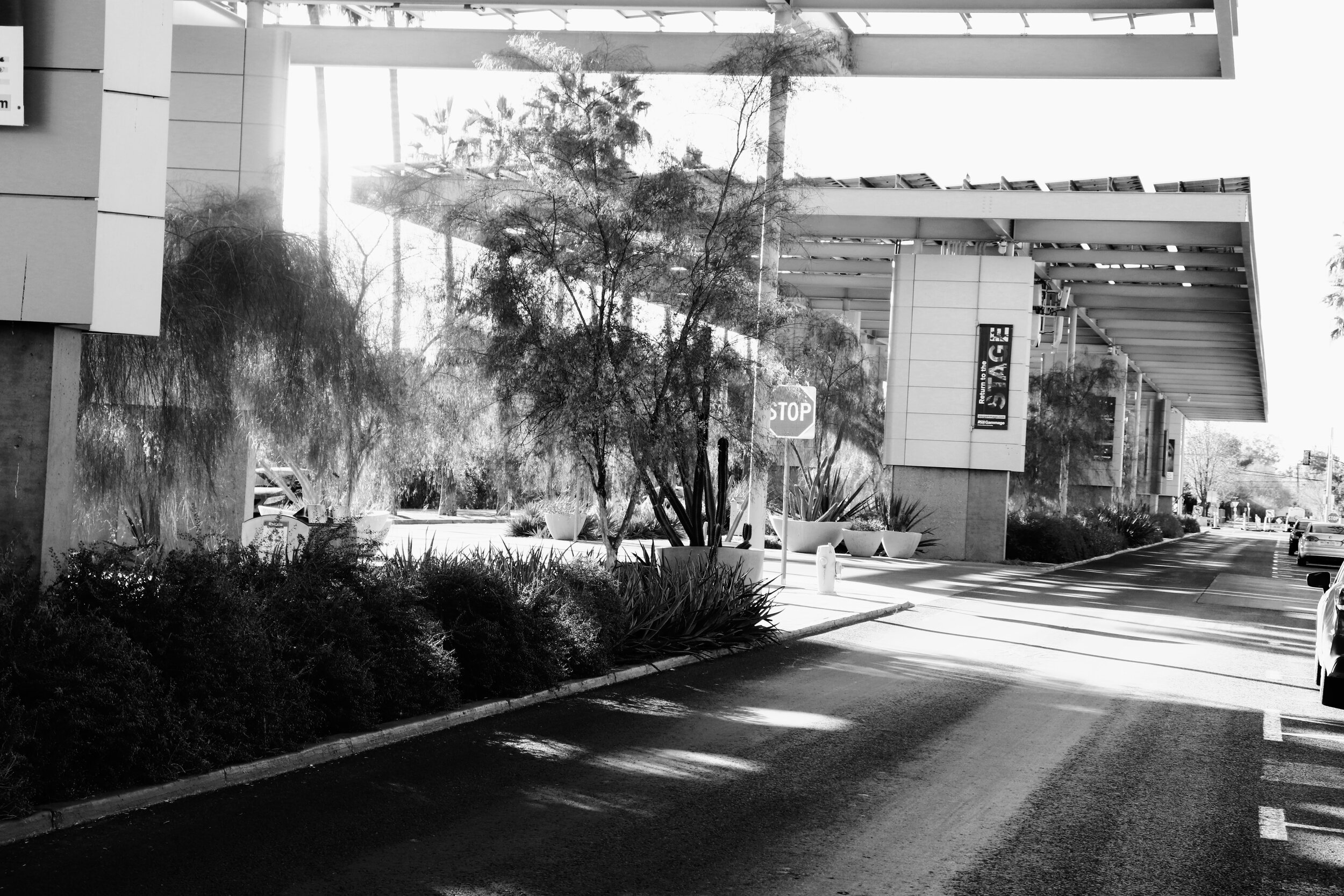 ASU Phoenix Arizona by MychaelX.photos 000006.JPG