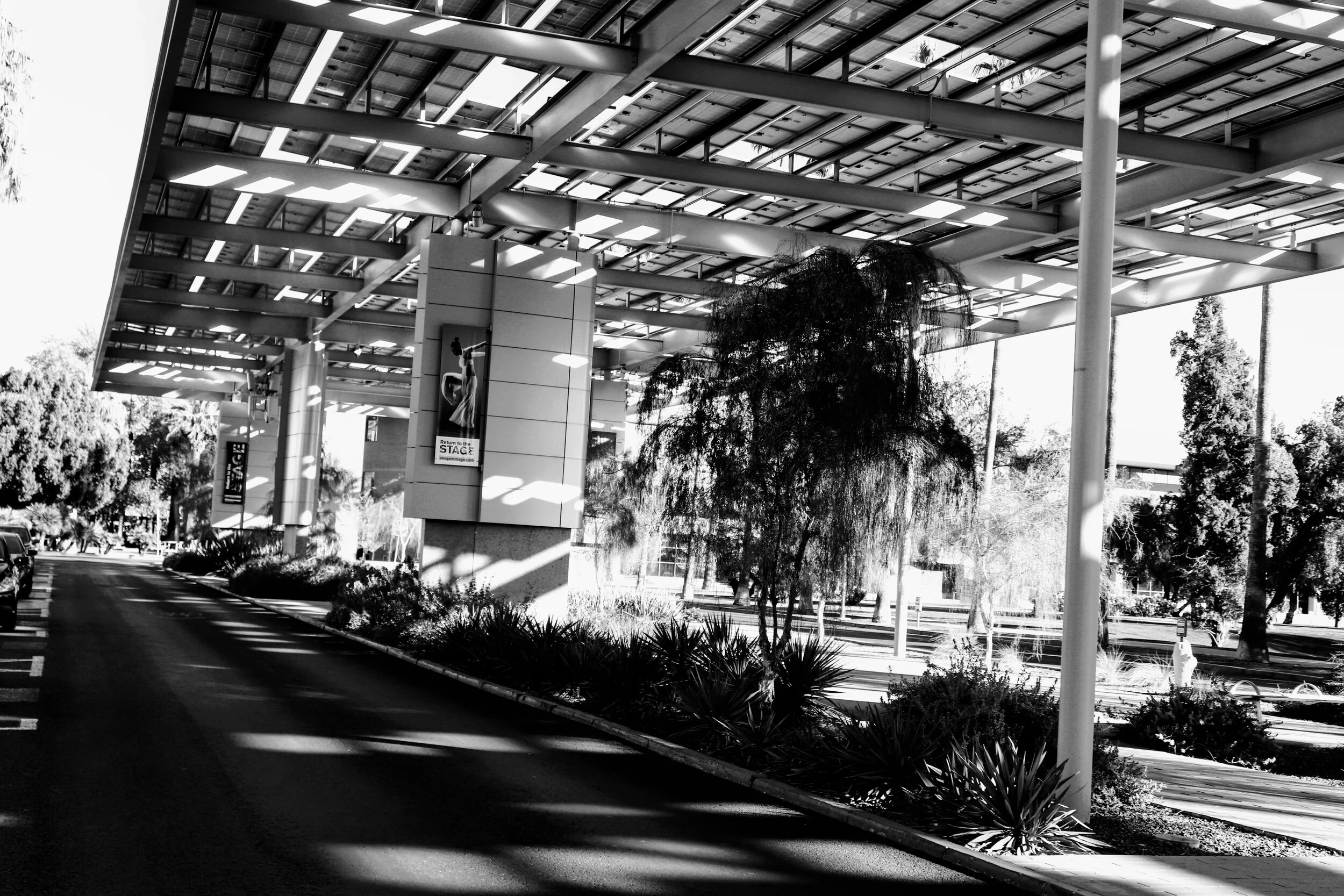 ASU Phoenix Arizona by MychaelX.photos 000022.JPG