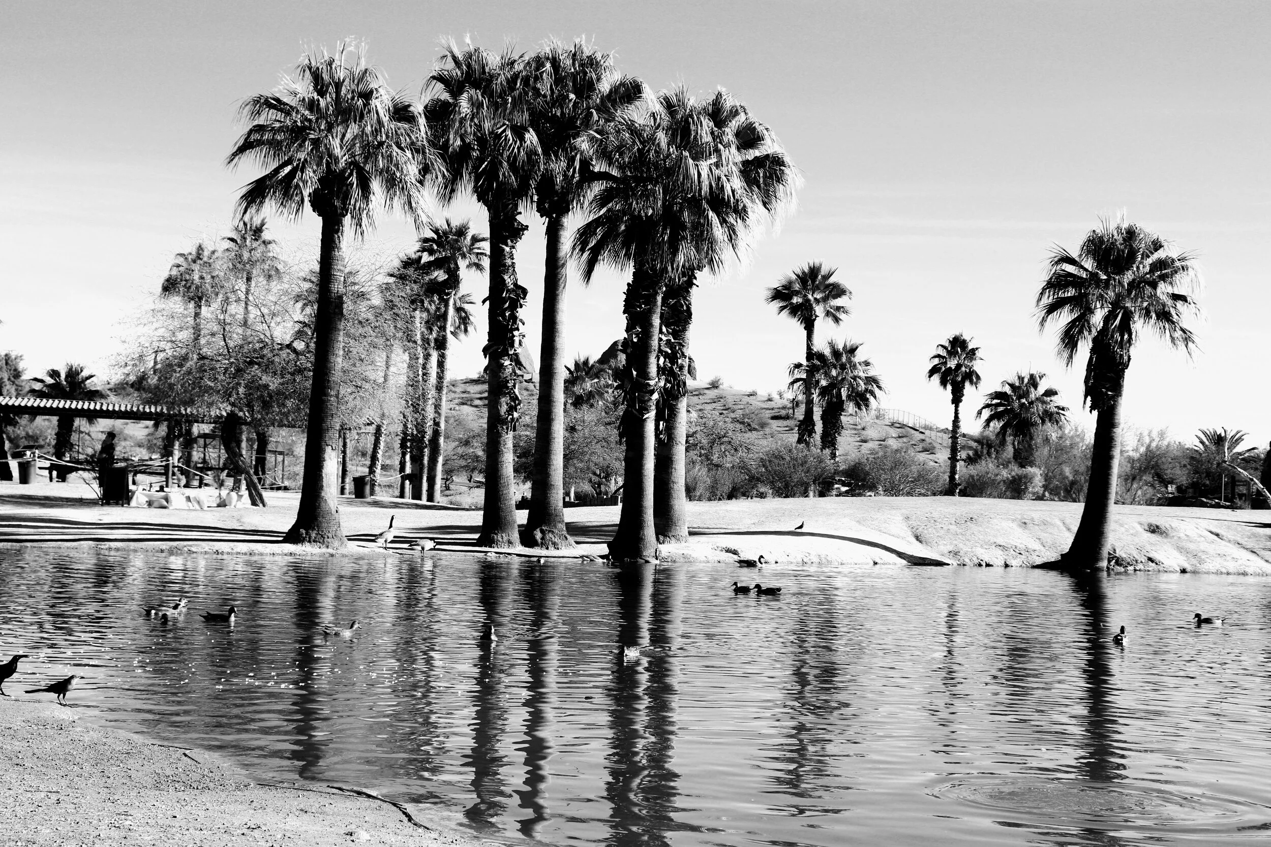 Papago Pond  Phoenix Arizona