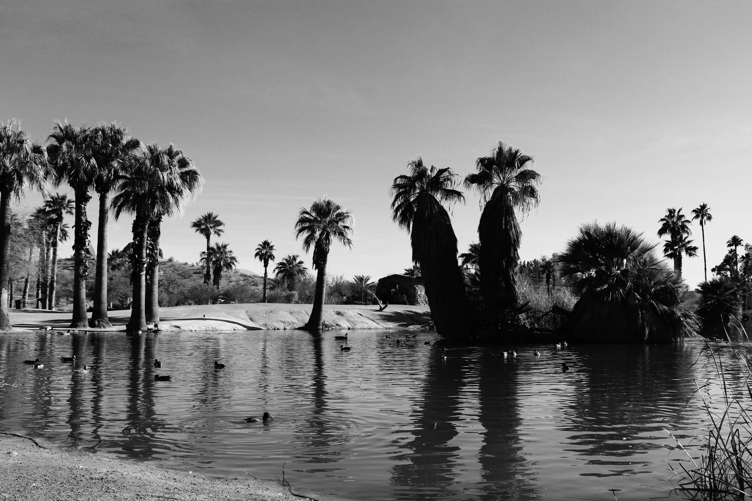 Papago Ponds Phoenix Arizona By MychelX.photos 00012.JPG
