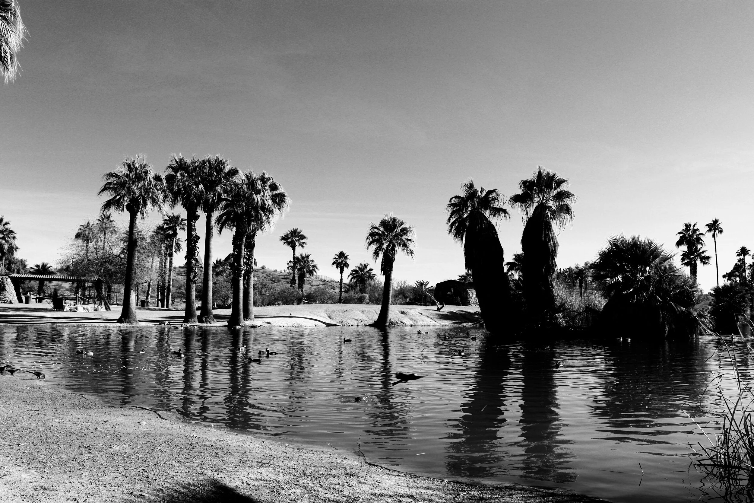 Papago Ponds Phoenix Arizona By MychelX.photos 00009.JPG