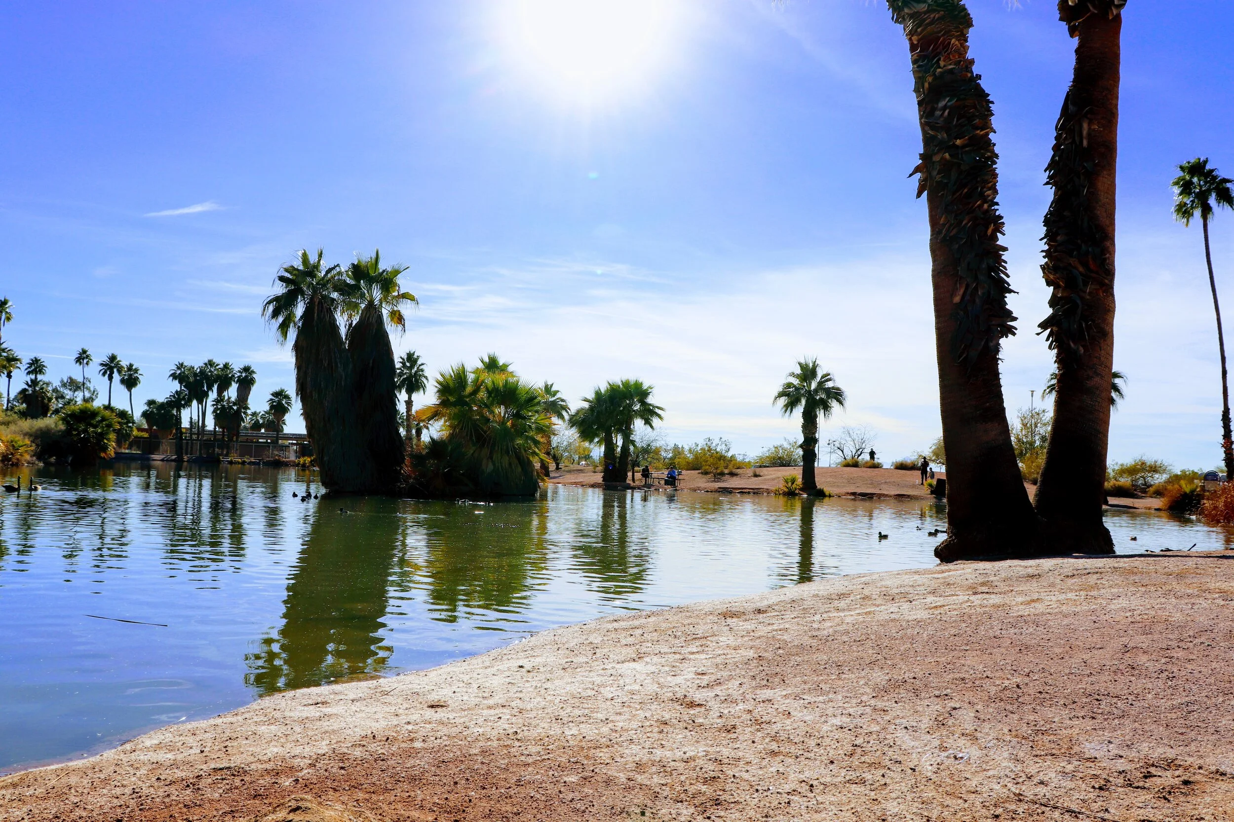 Papago Ponds Phoenix Arizona By MychelX.photos 00038.JPG