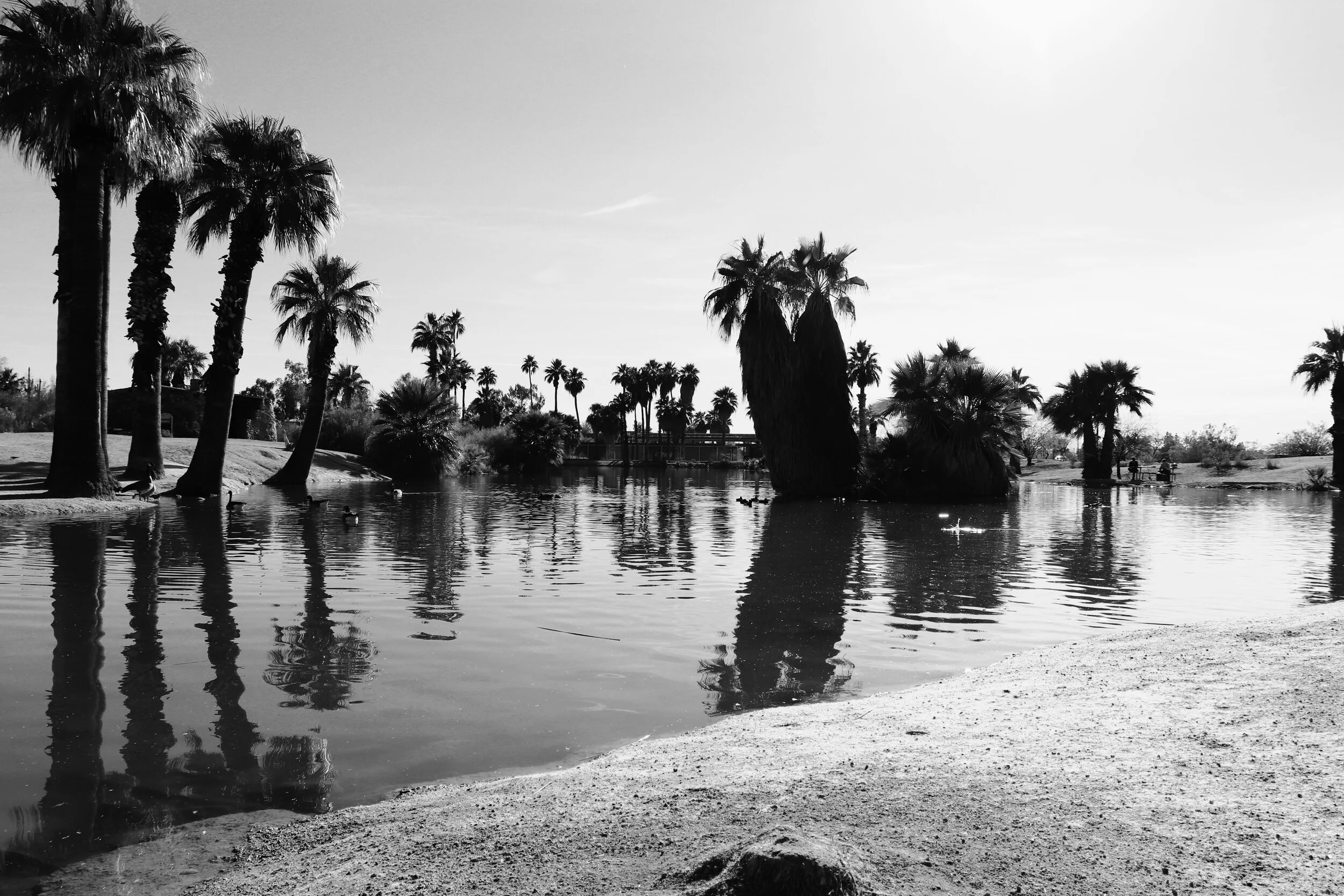 Papago Ponds Phoenix Arizona By MychelX.photos 00056.JPG