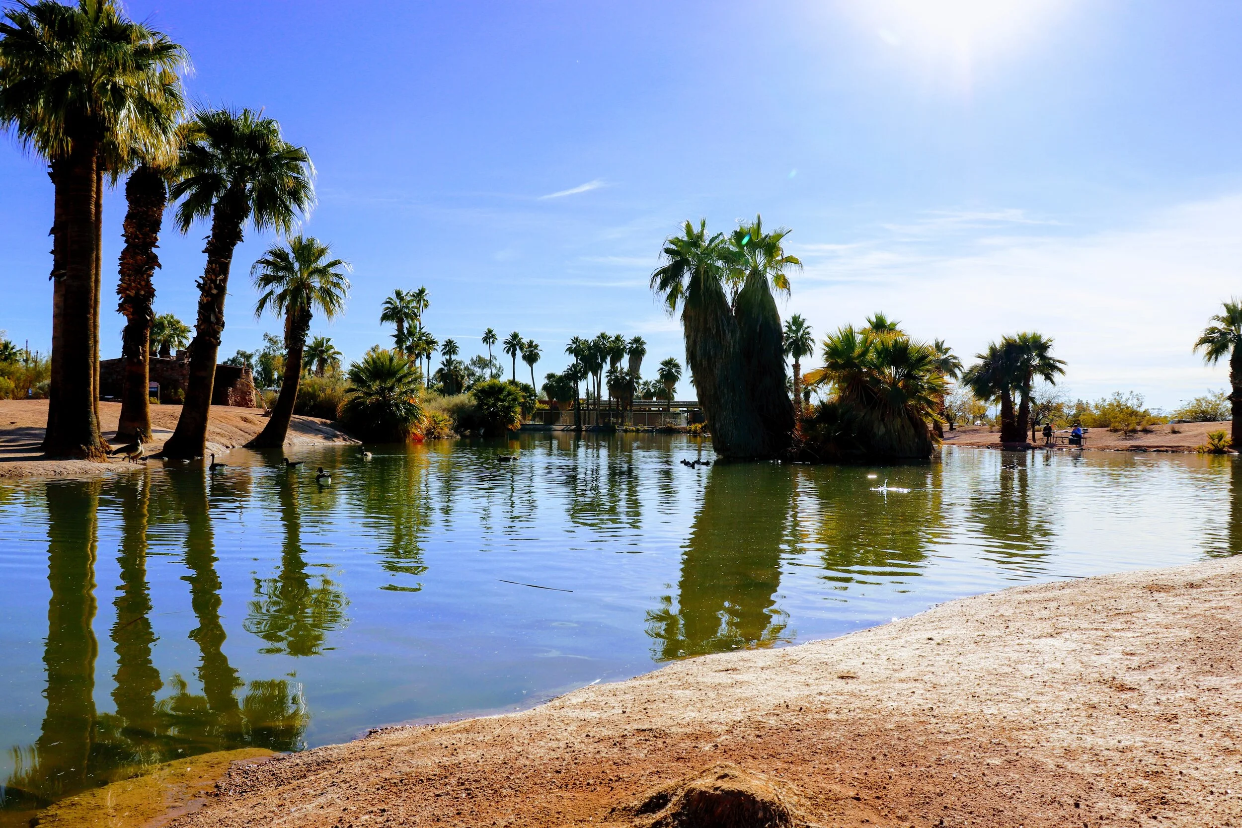 Papago Ponds Phoenix Arizona By MychelX.photos 00054.JPG