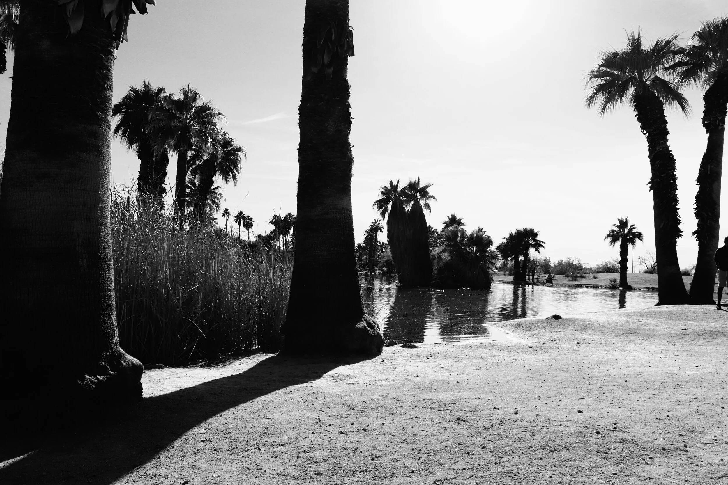 Papago Ponds Phoenix Arizona By MychelX.photos 00082.JPG