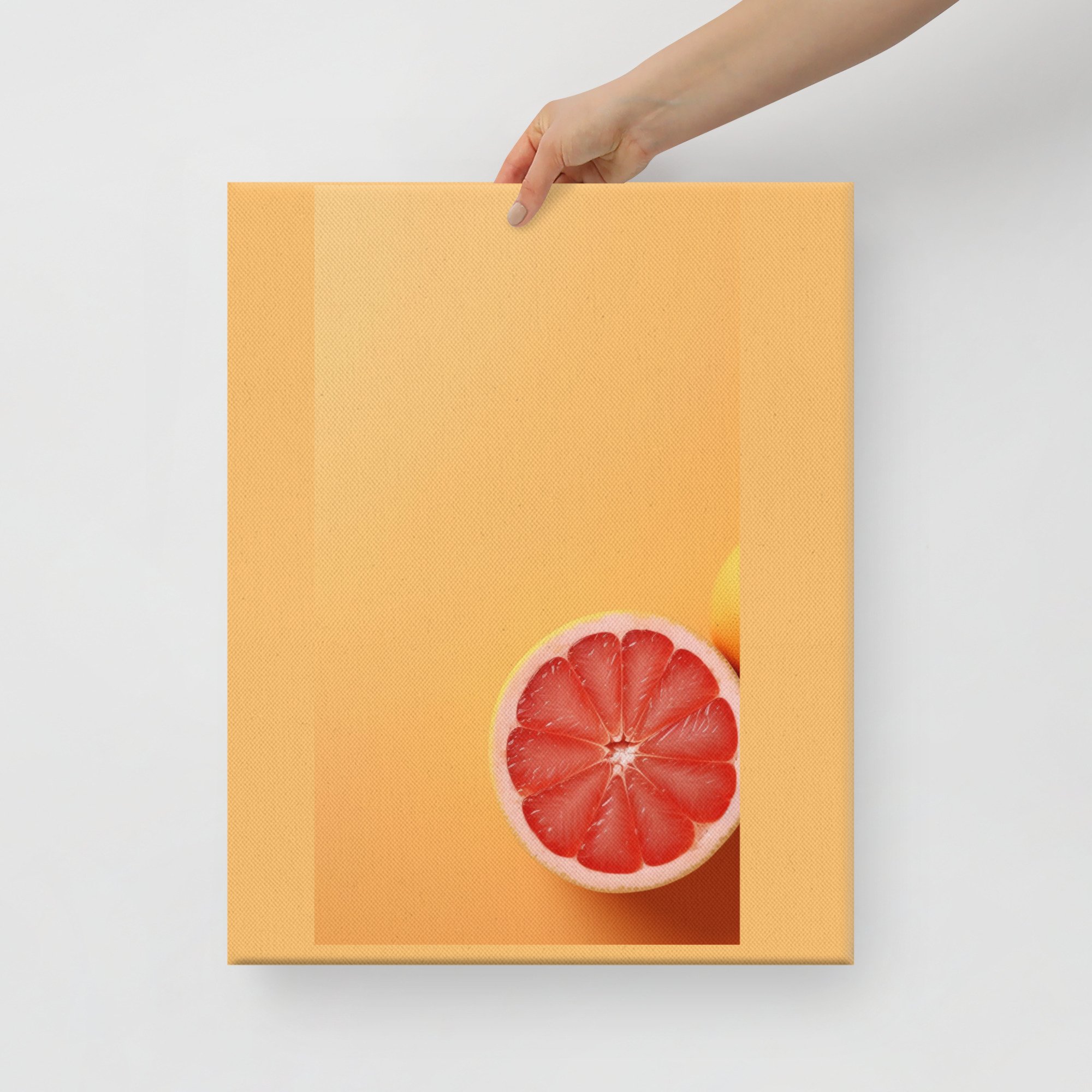 canvas-(in)-16x20-front-649bdb8668cca.jpg