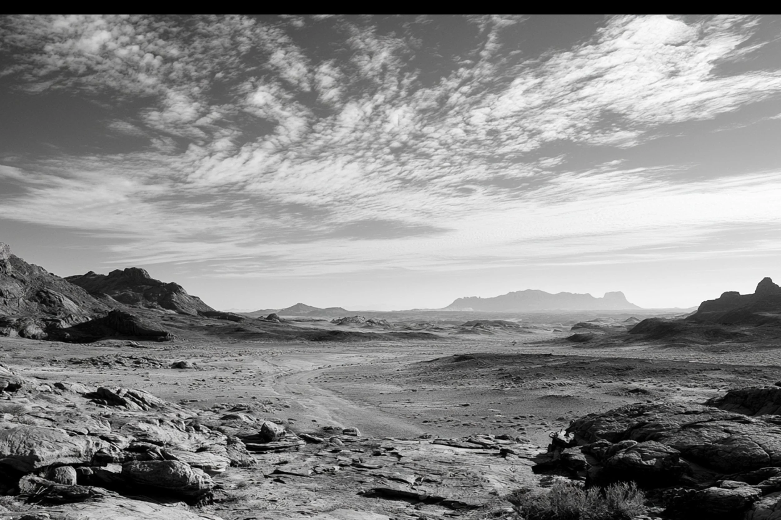 #32 BLACK & WHITE LANDSCAPE — Timeless Beauty in Every View 24W X 36H