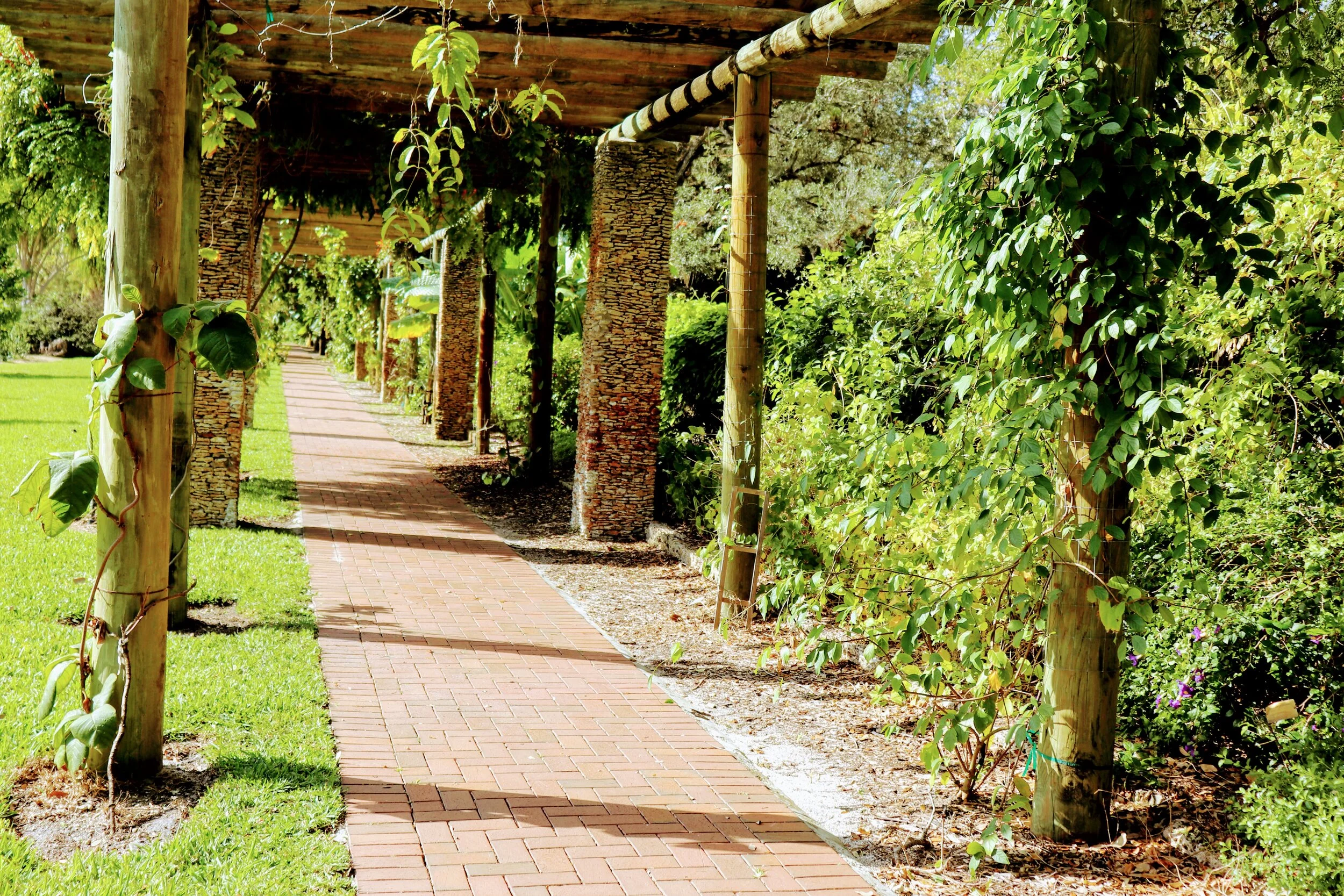 Fairchild Tropical Botanic Garden Miami Florida by MychaelX.photos 00091.JPG