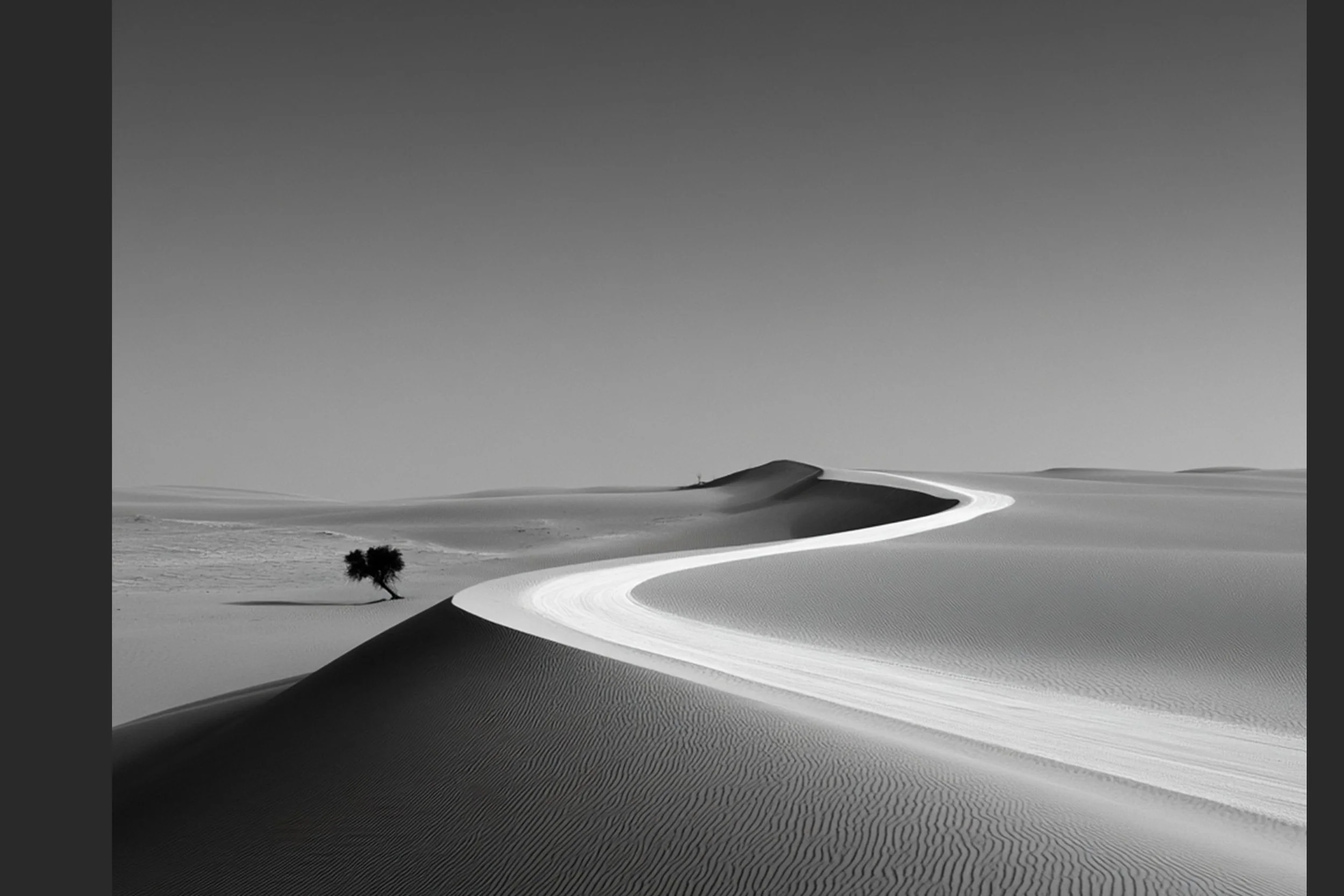 #43 BLACK & WHITE LANDSCAPE — Timeless Beauty in Every View 24W X 36H