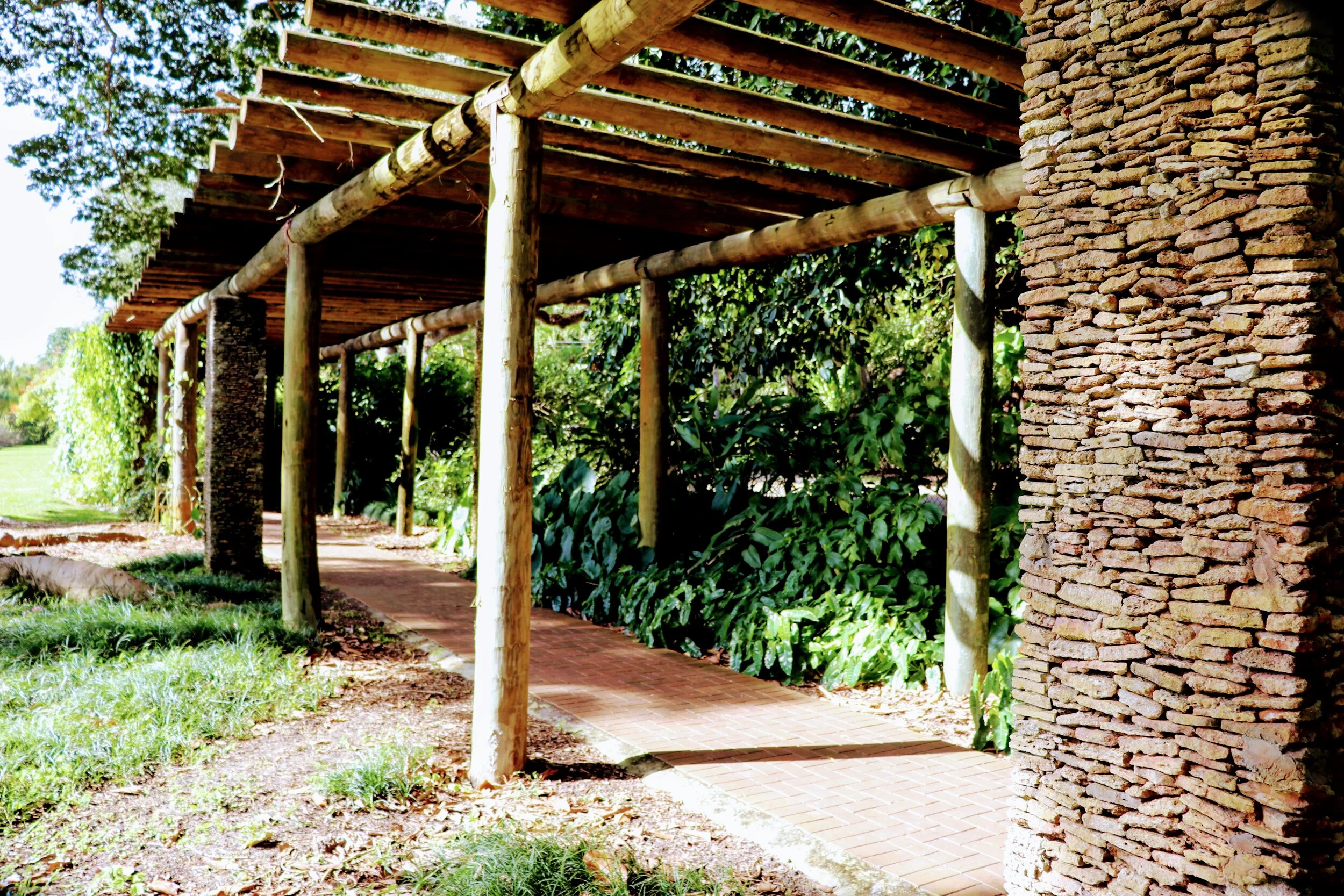 Fairchild Tropical Botanic Garden Miami Florida by MychaelX.photos 00086.JPG