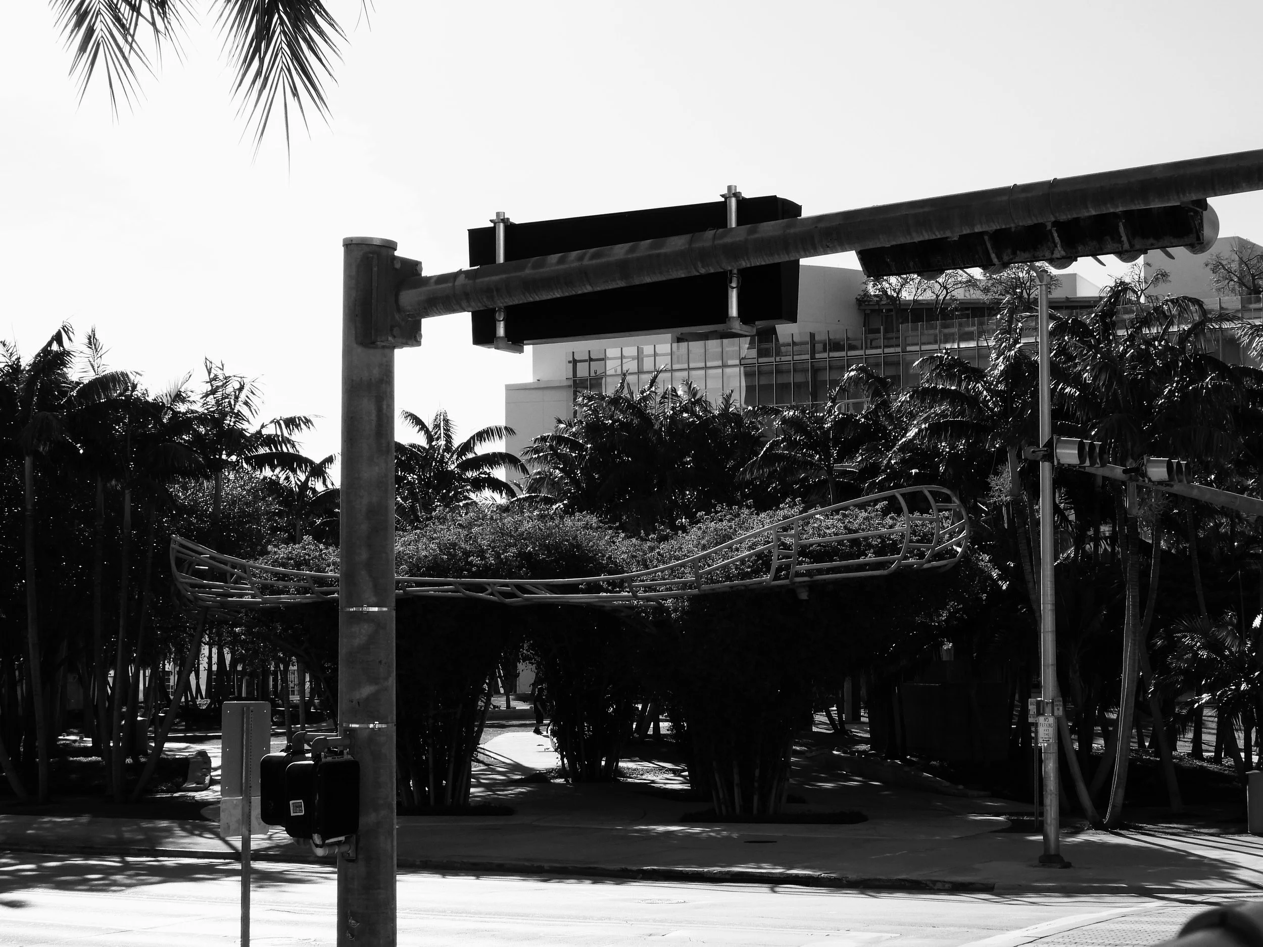 Downtown Miami Florida by MychaelX.photos 000029.JPG