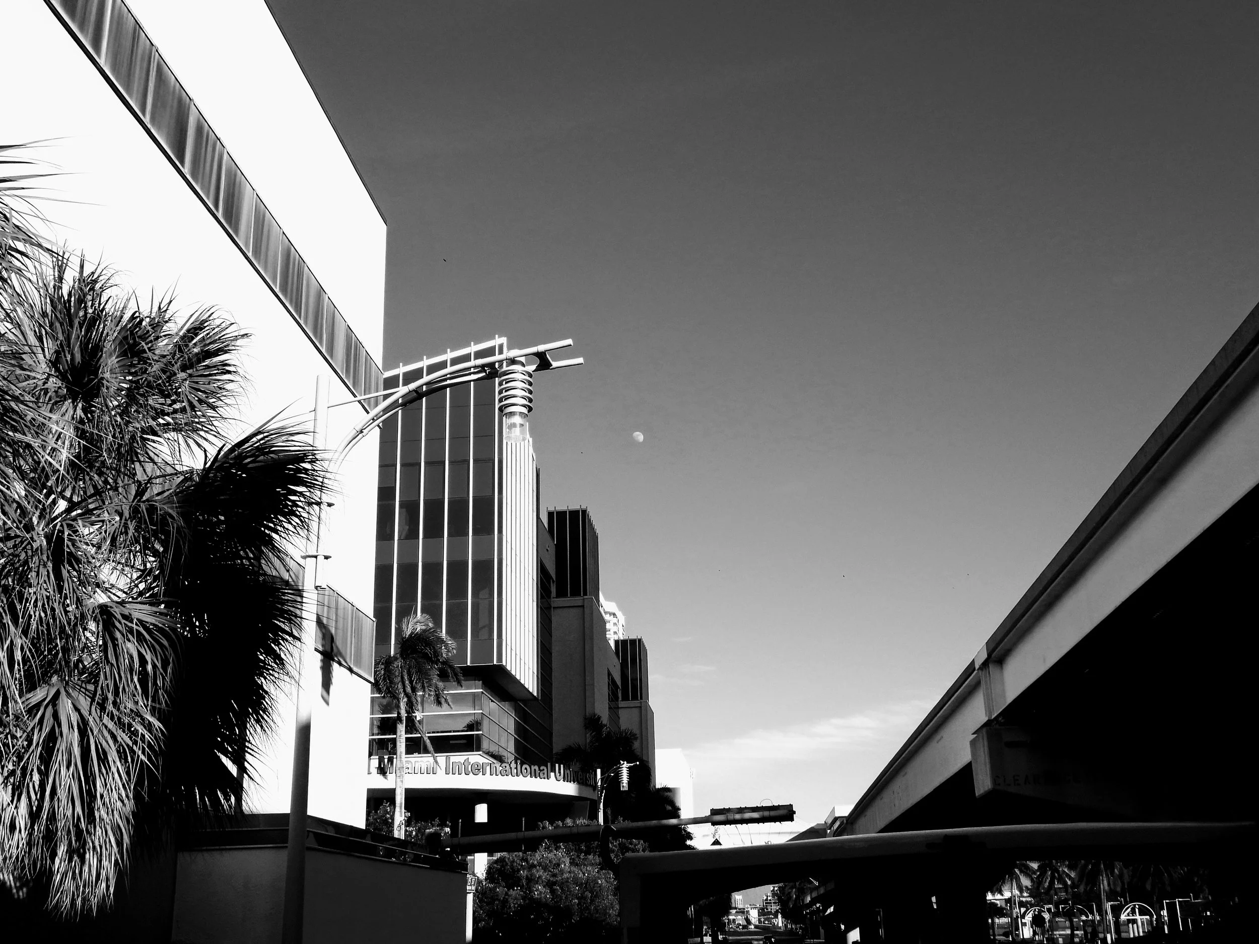 Downtown Miami Florida by MychaelX.photos 00108.JPG